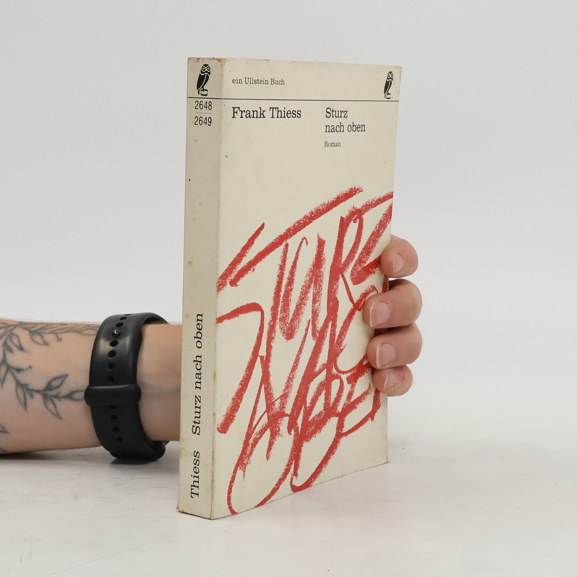 Frank Thiess Sturz nach oben