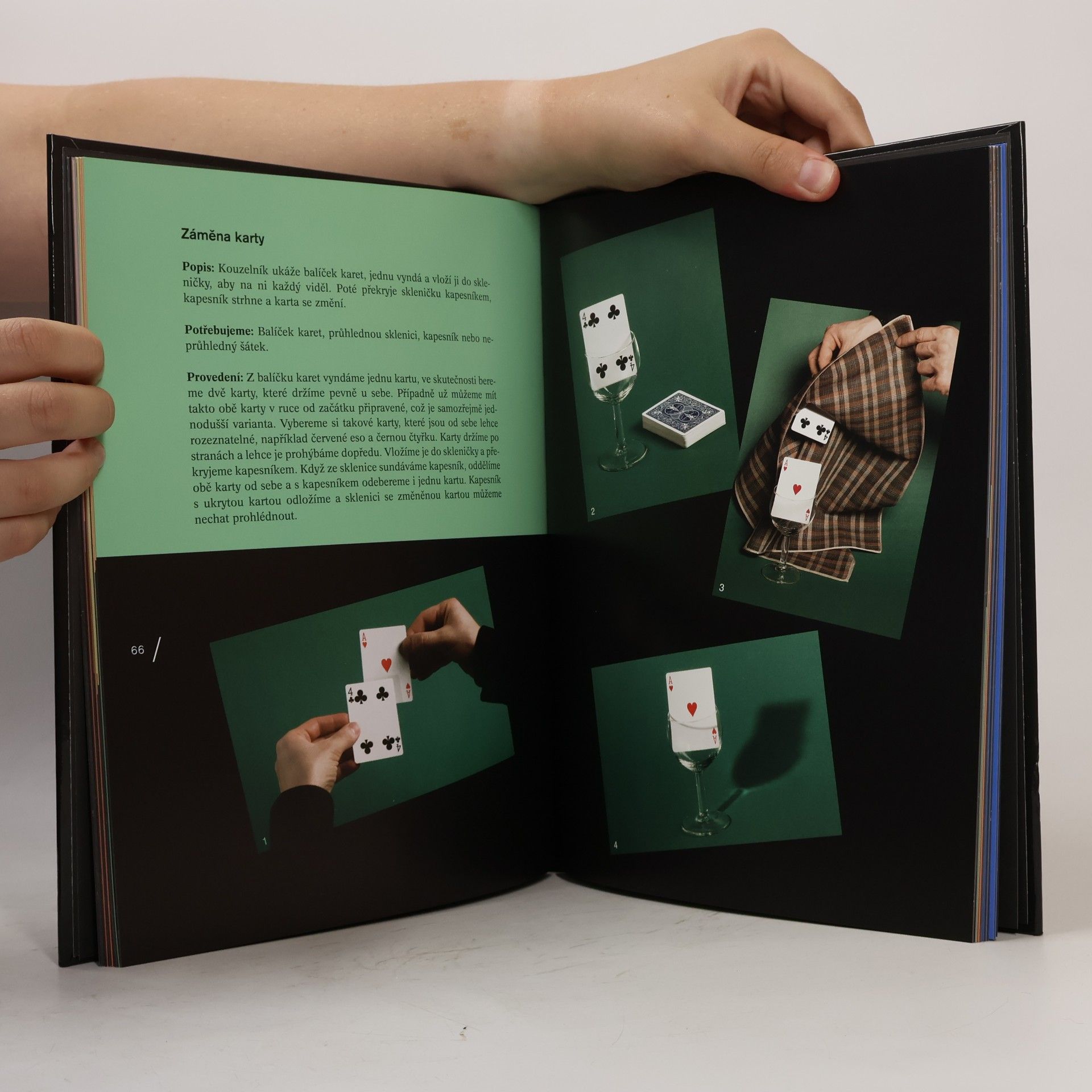 Pavel Kožíšek Lexikon magie a kouzel : kouzelnická učebnice pro malé i velké čaroděje