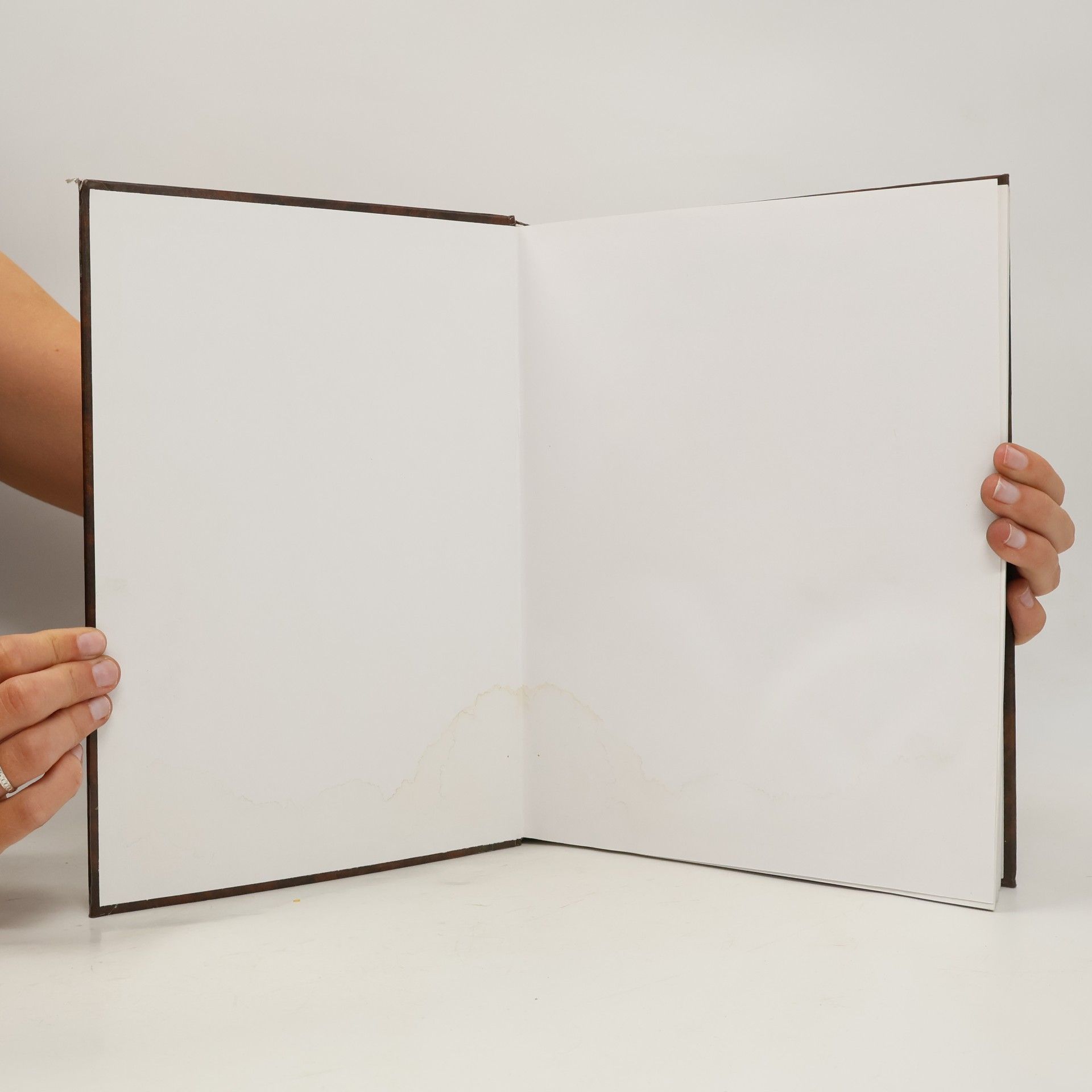 John H. Renner Atlas domácich liečiv