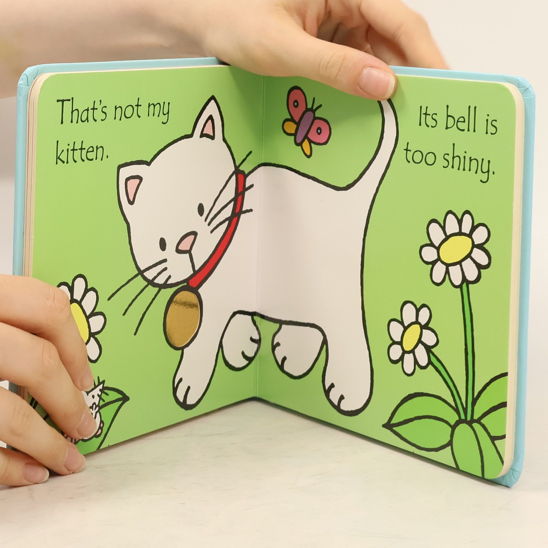 Fiona Watt Thats Not My Kitten