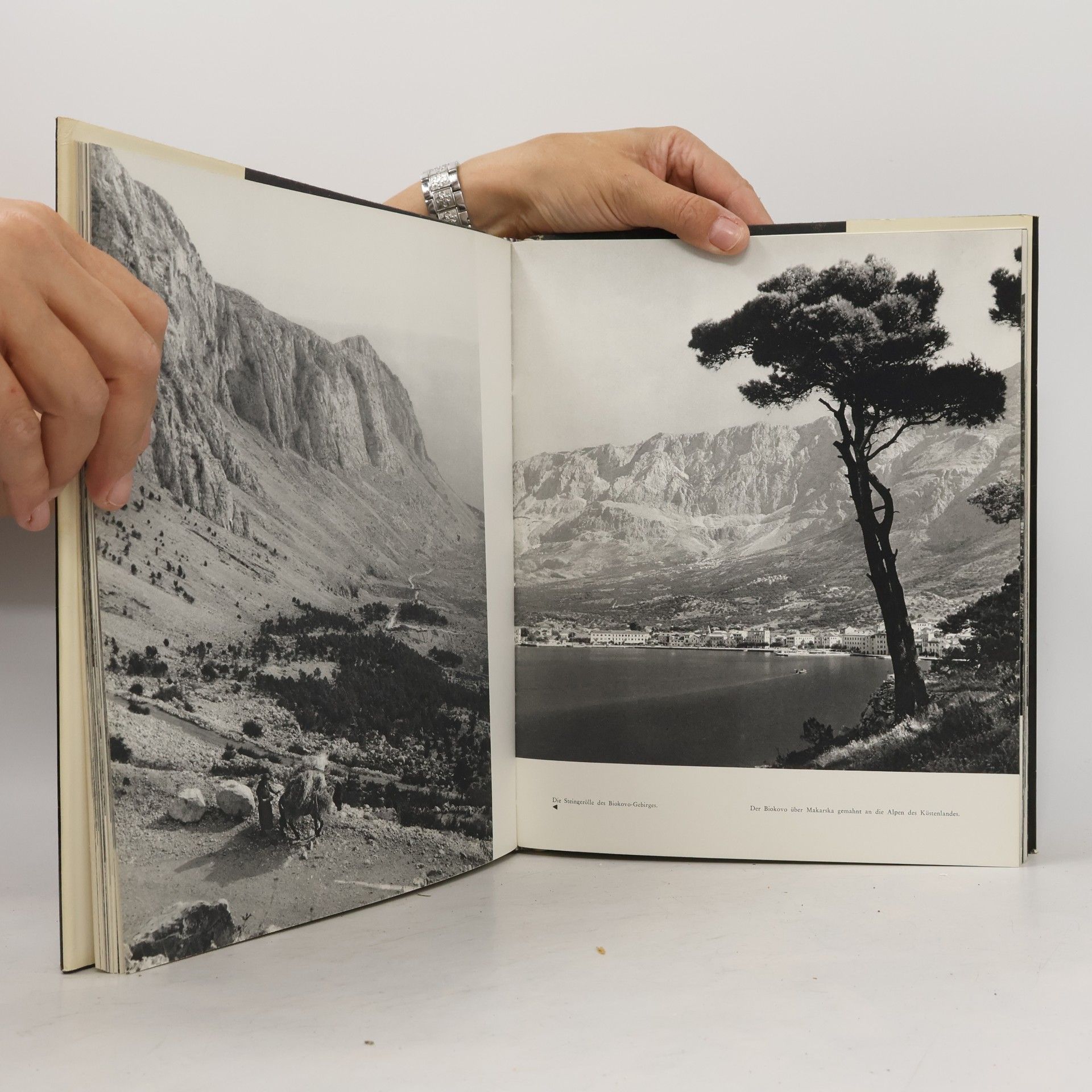 Collectif d'auteurs Die Berge Jugoslawiens