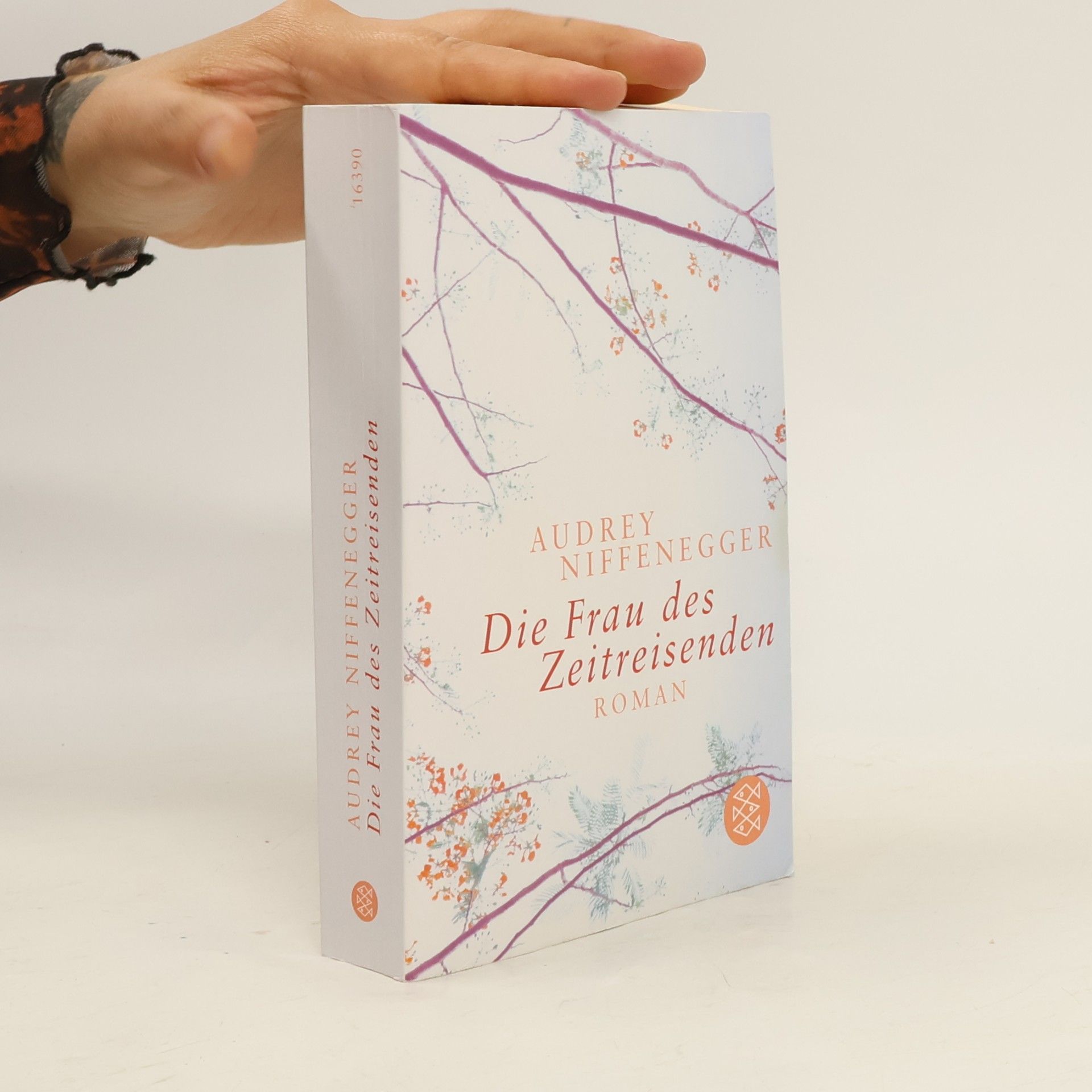 Audrey Niffenegger Die Frau des Zeitreisenden