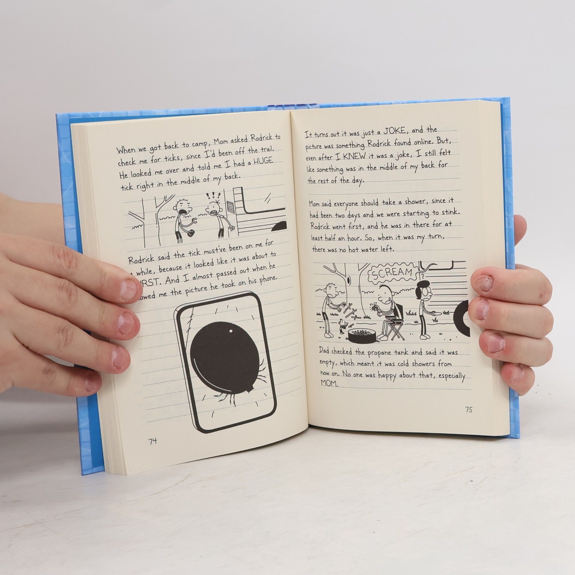 Jeff Kinney Diary of a Wimpy Kid. The Deep End