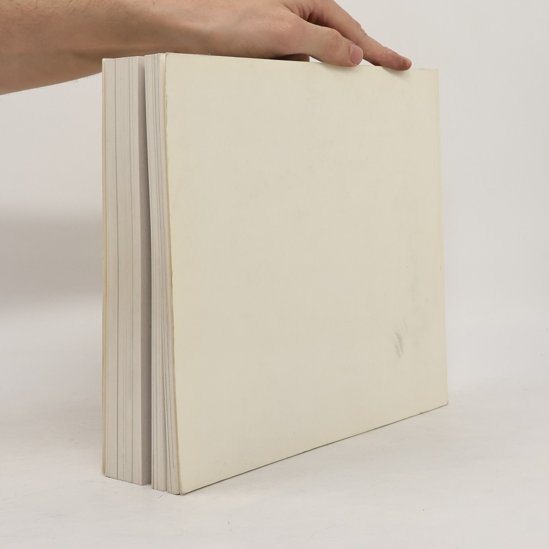 Autores varios Tschechische Kunst der 20er + 30er Jahre. Avantgarde und Tradition