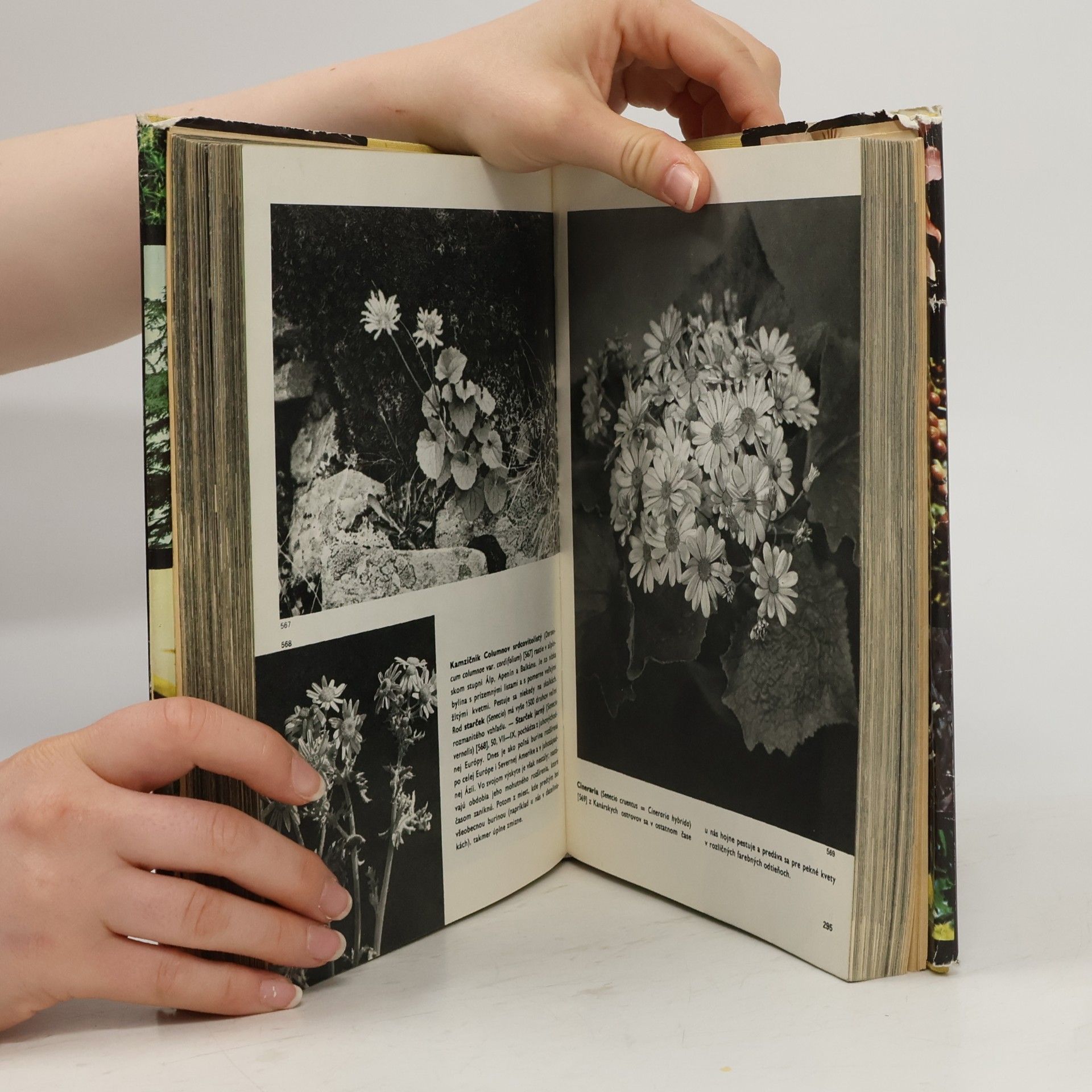 Novák F. A. Velký obrazový atlas rastlín