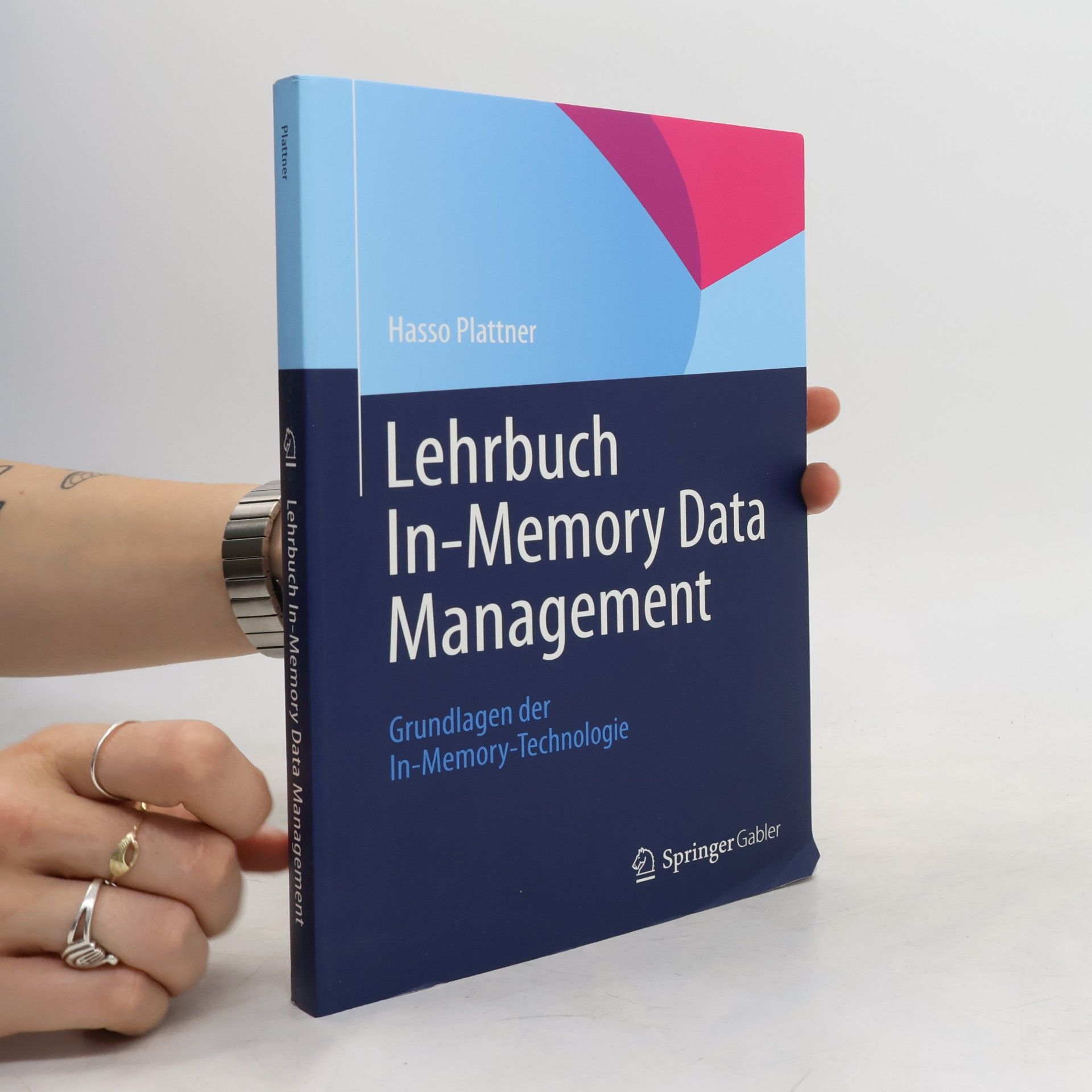 Hasso Plattner Lehrbuch In-Memory Data Management