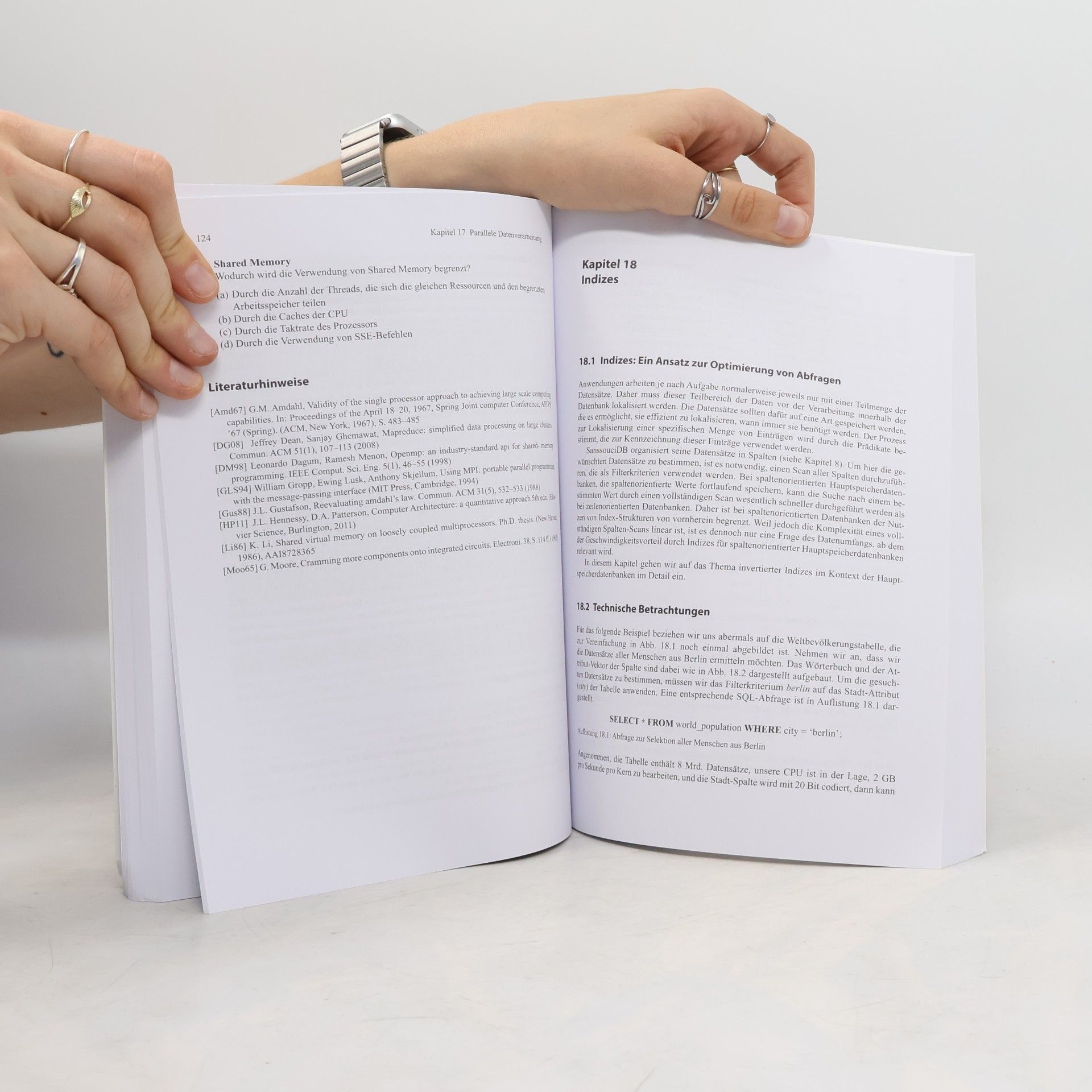 Hasso Plattner Lehrbuch In-Memory Data Management