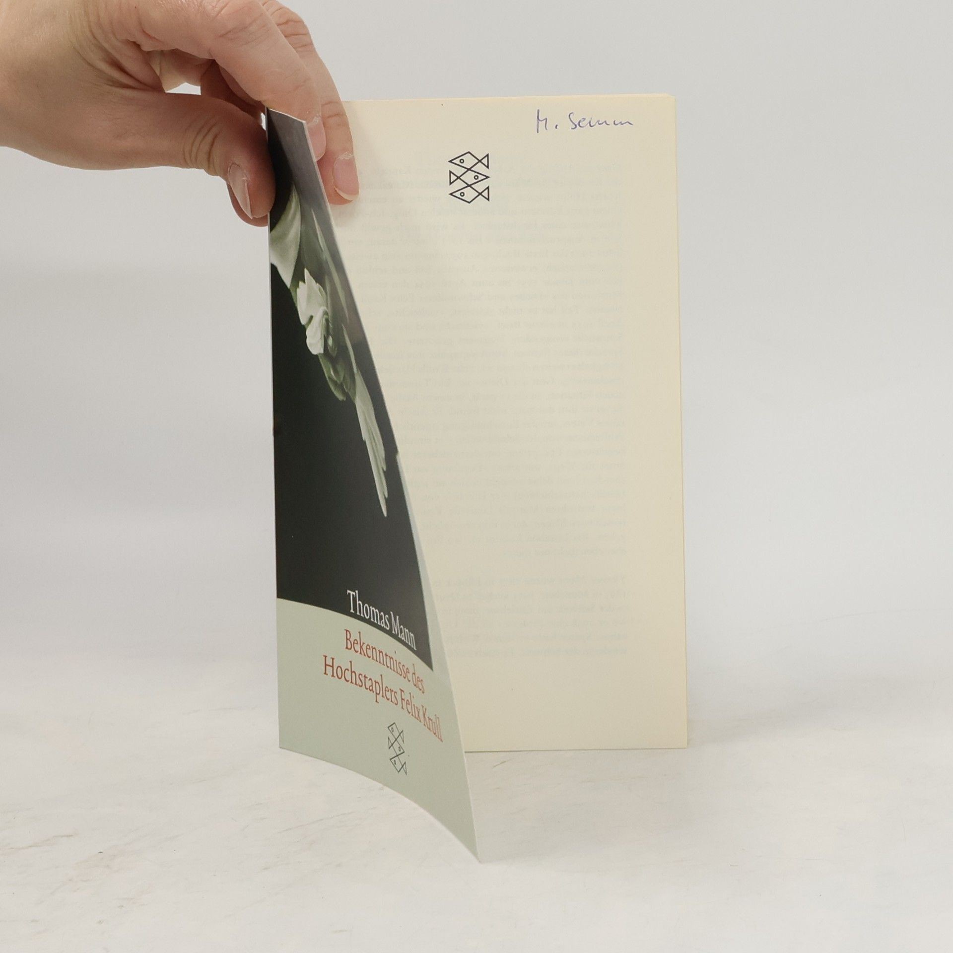 Thomas Mann Bekenntnisse des Hochstaplers Felix Krull