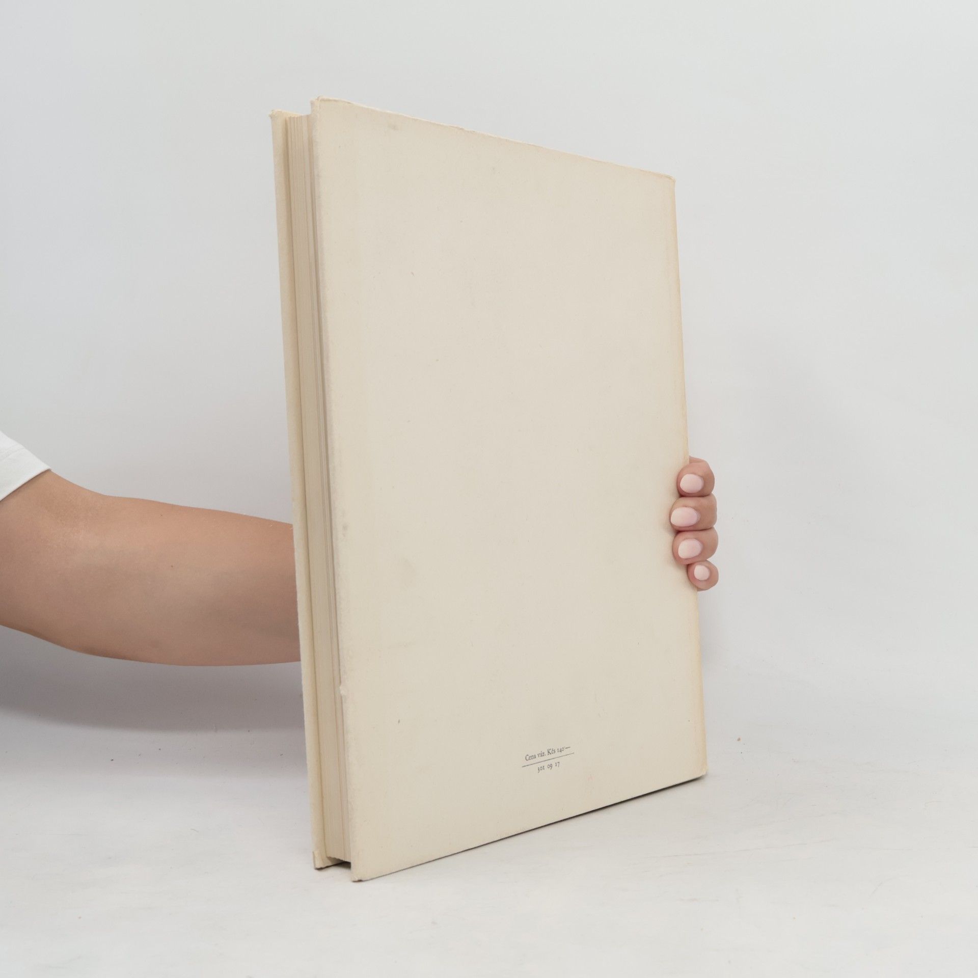 Cecilie Hálová Jahodová Umění a život zapomenutých řemesel