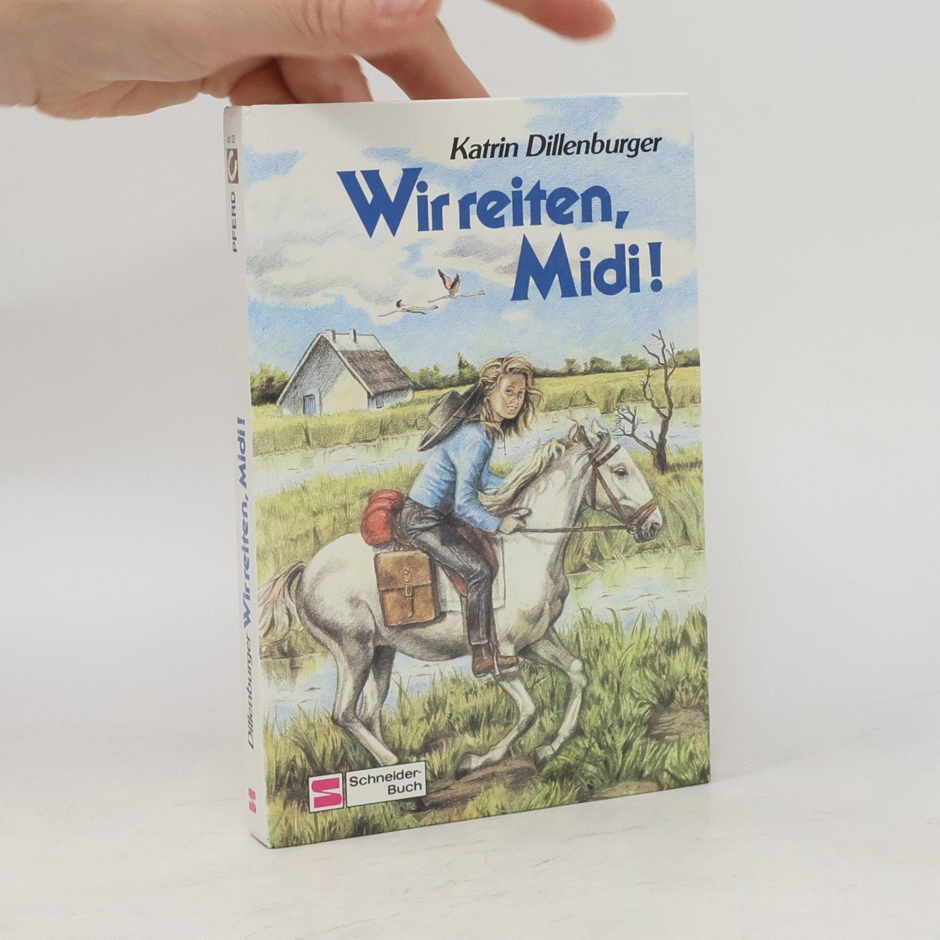 Katrin Dillenburger Wir reiten, Midi. Ein Mädchen, zwei Pferde und viele Kilometer.