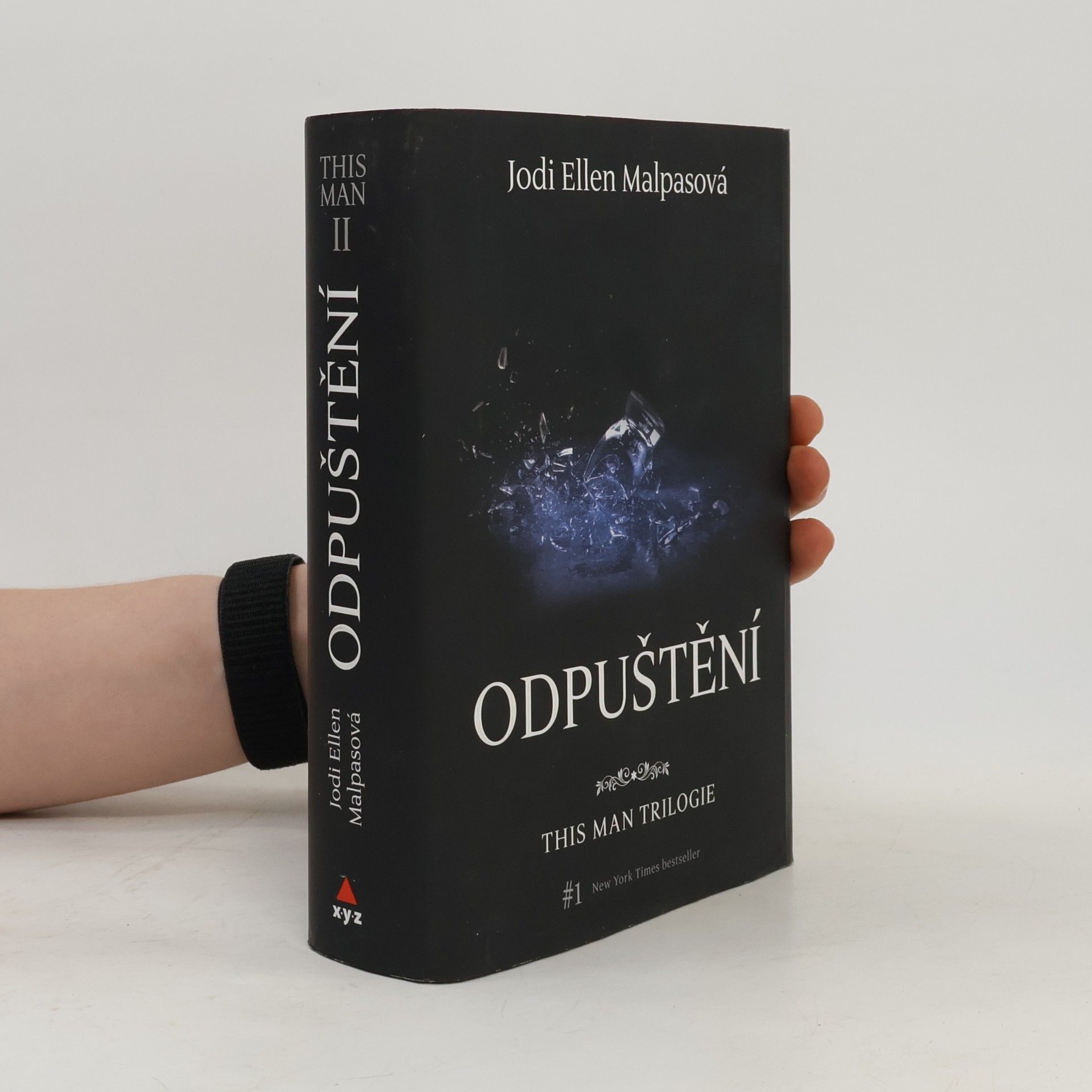 Jodi Ellen Malpas This man trilogie : Odpuštění