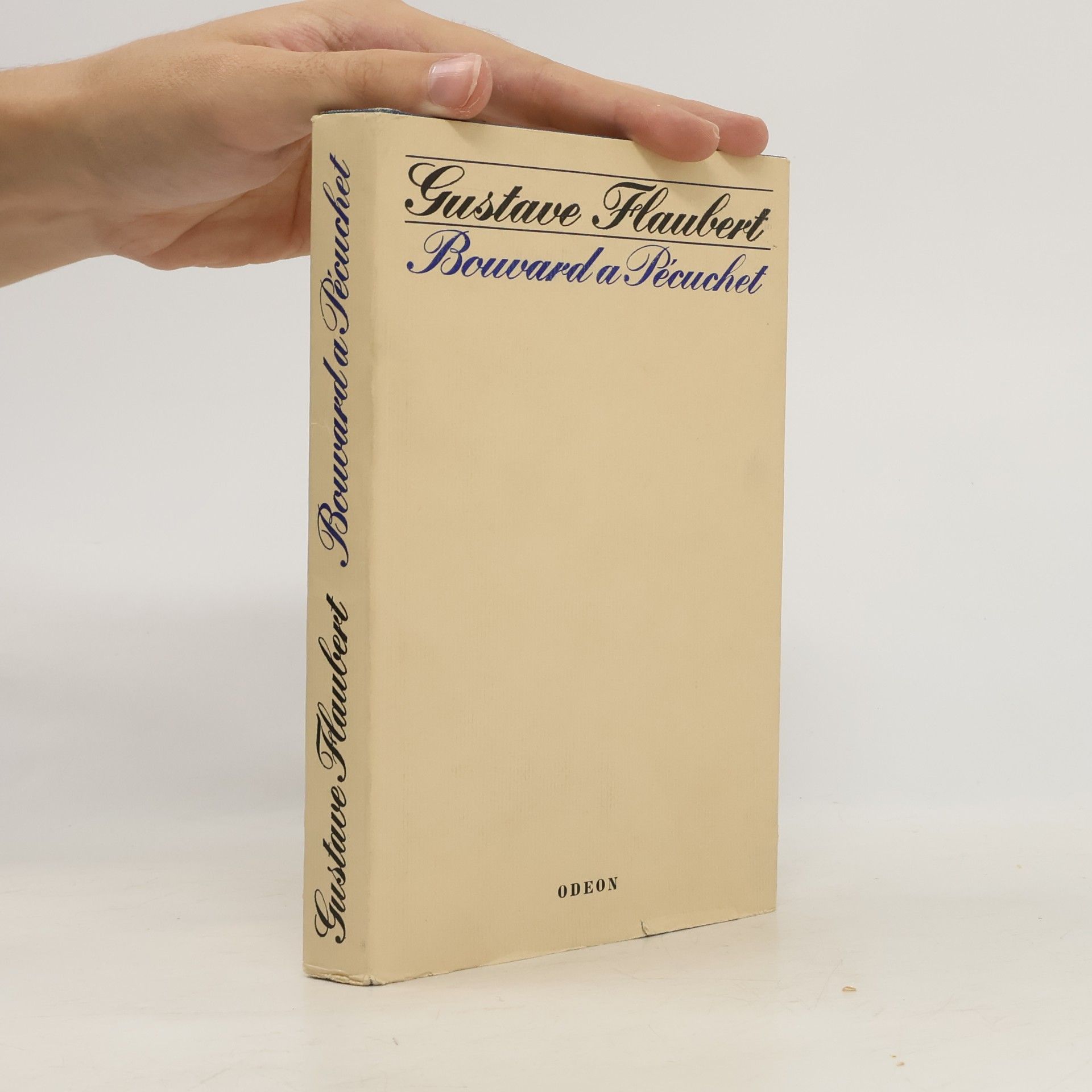 Gustave Flaubert Bouvard a Pécuchet
