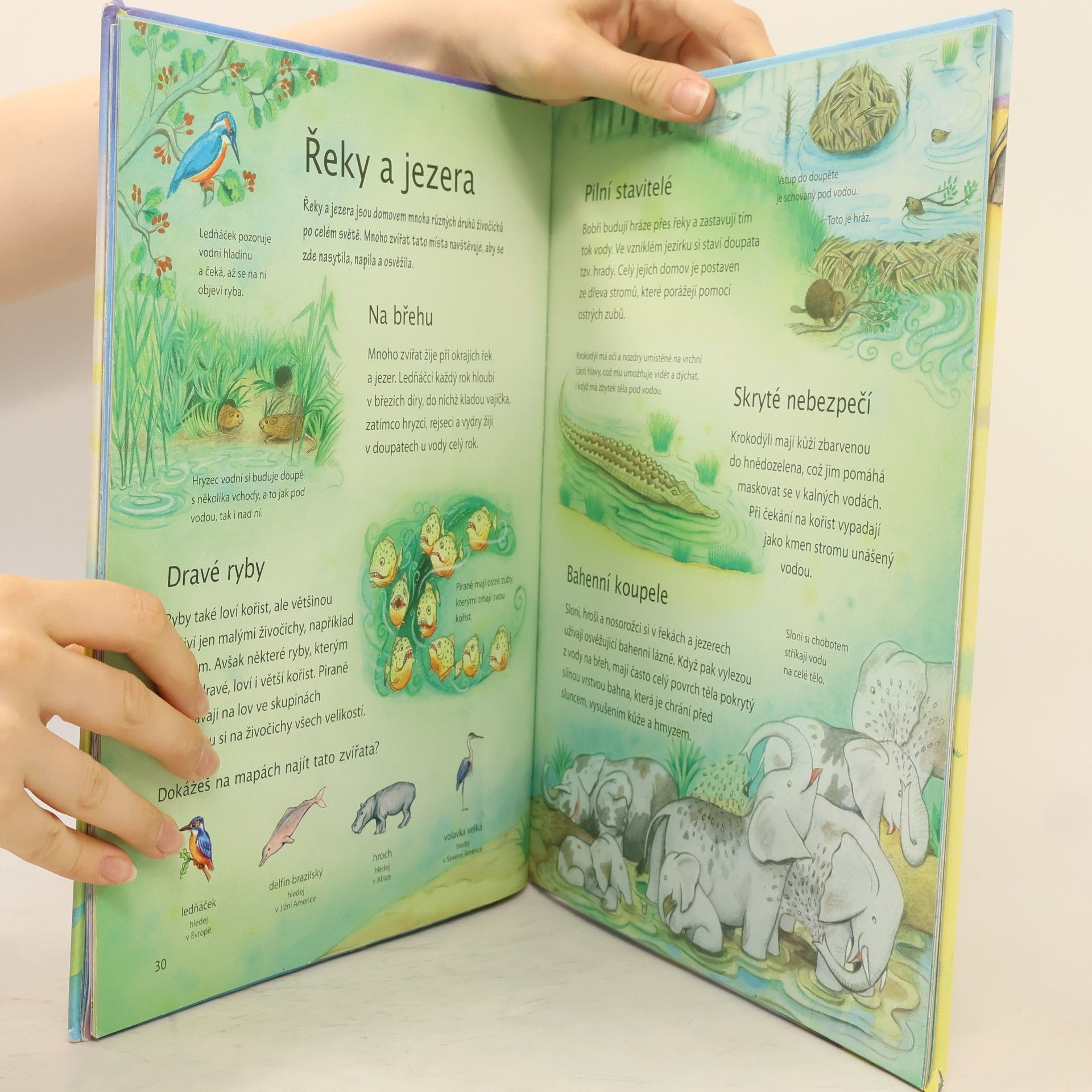 Collectif d'auteurs Dětský ilustrovaný atlas zvířat