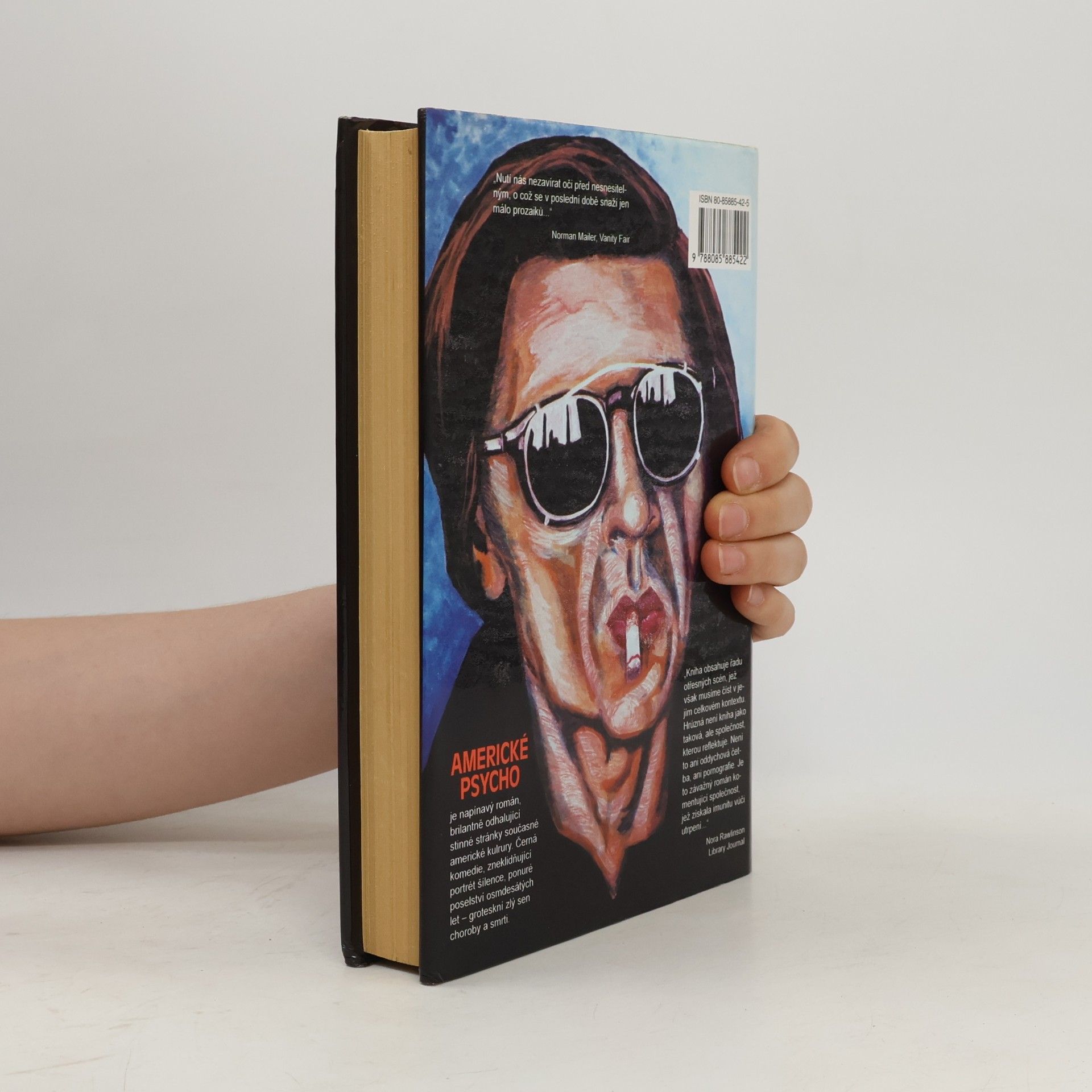 Bret Easton Ellis Americké psycho