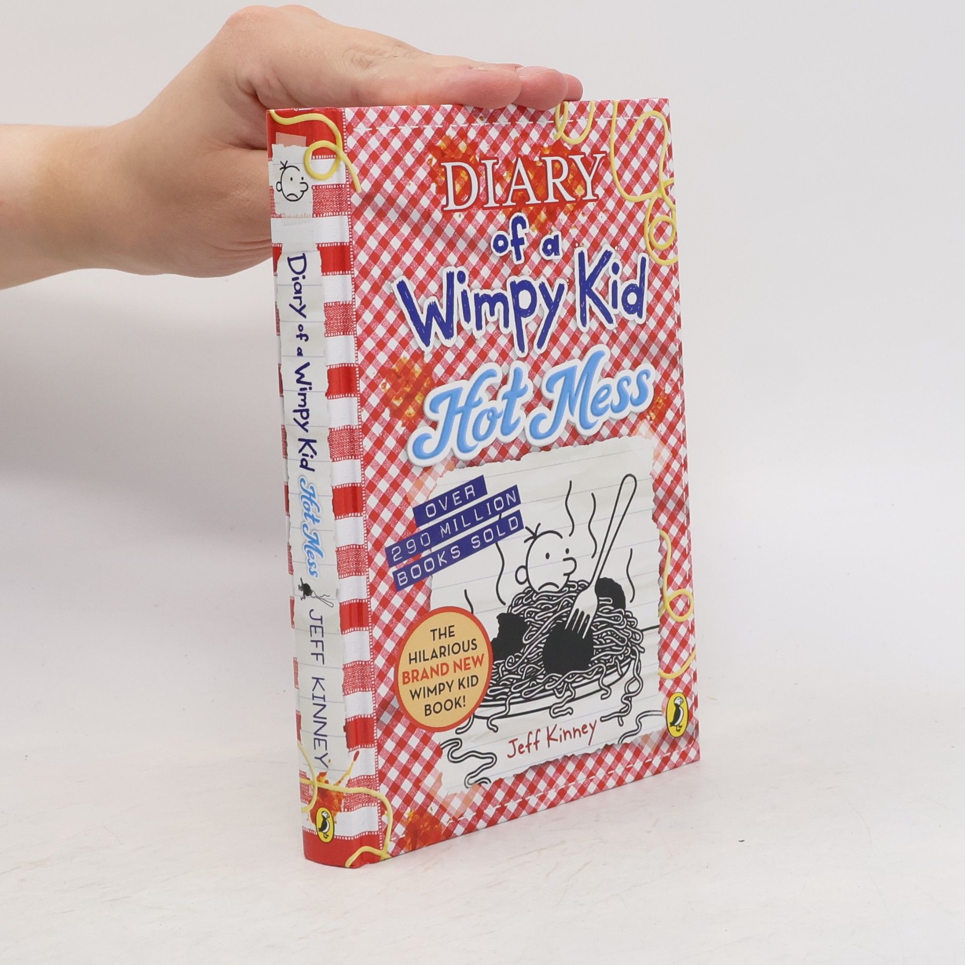 Jeff Kinney Diary of a Wimpy Kid, Hot Mess (Book 19)