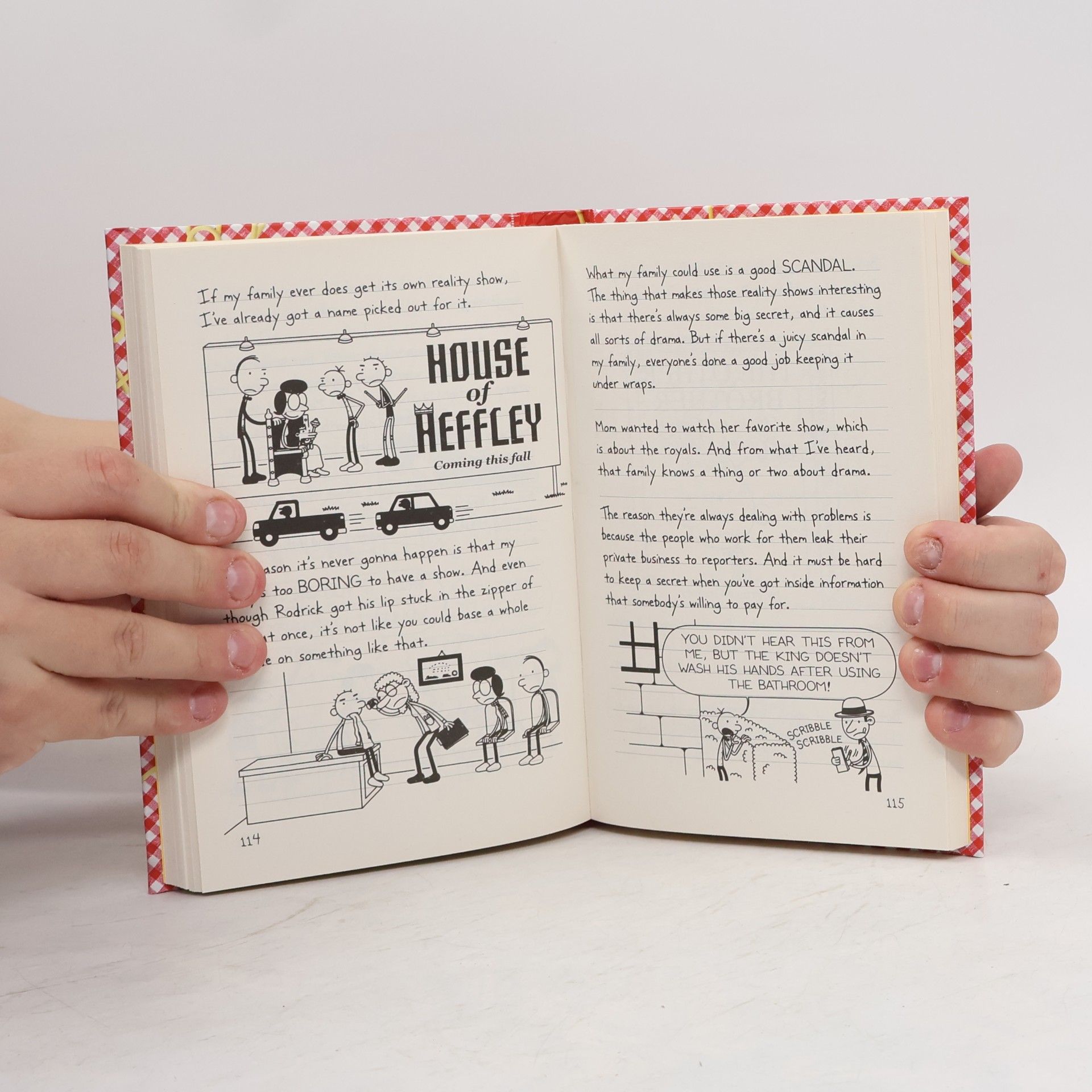 Jeff Kinney Diary of a Wimpy Kid, Hot Mess (Book 19)