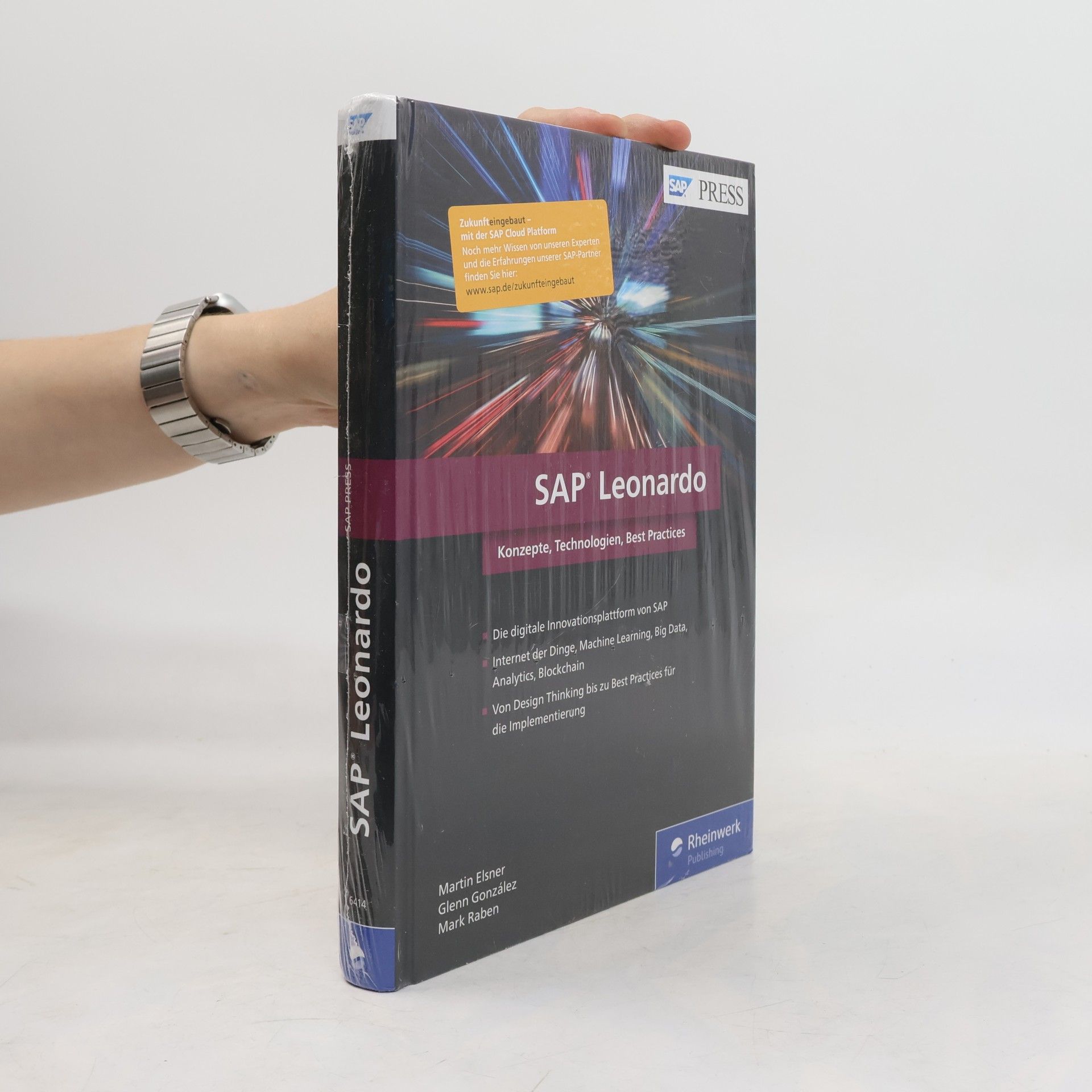 Mark Raben SAP Leonardo