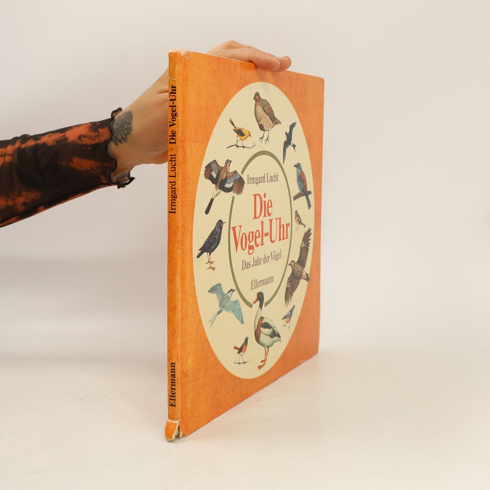 Irmgard Lucht Die Vogel-Uhr