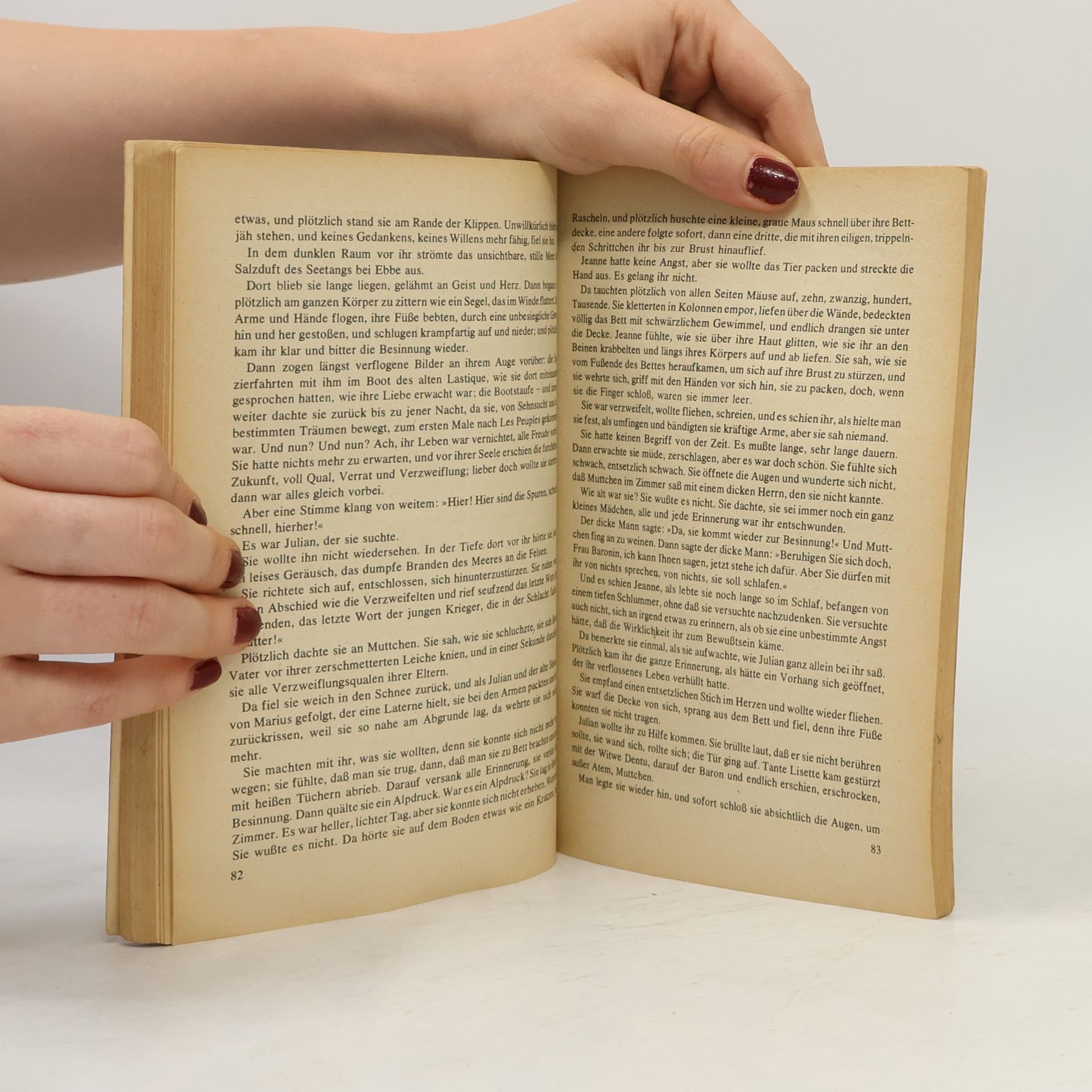 Guy de Maupassant Ein Meschenleben