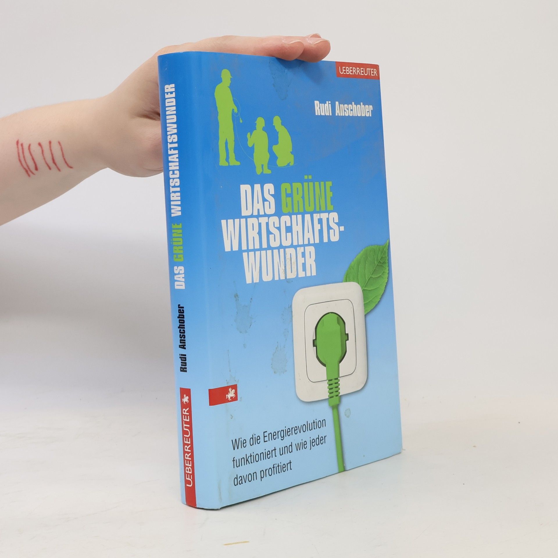 Rudi Anschober Das grüne Wirtschaftswunder