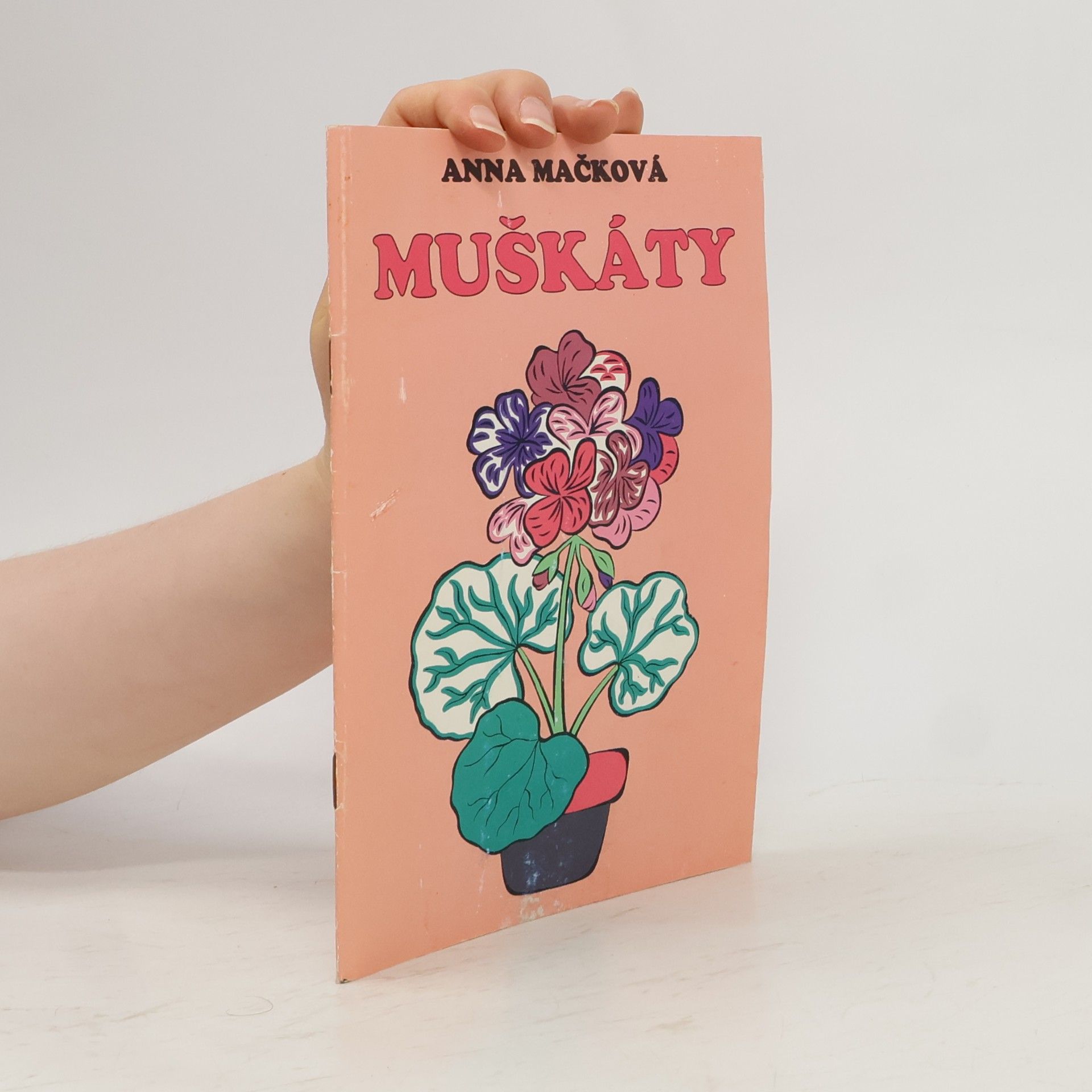 Muškáty