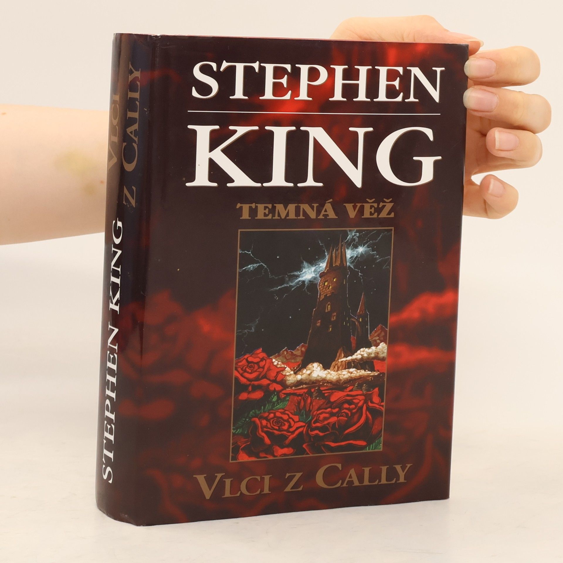 Stephen King Temná věž: Vlci z Cally