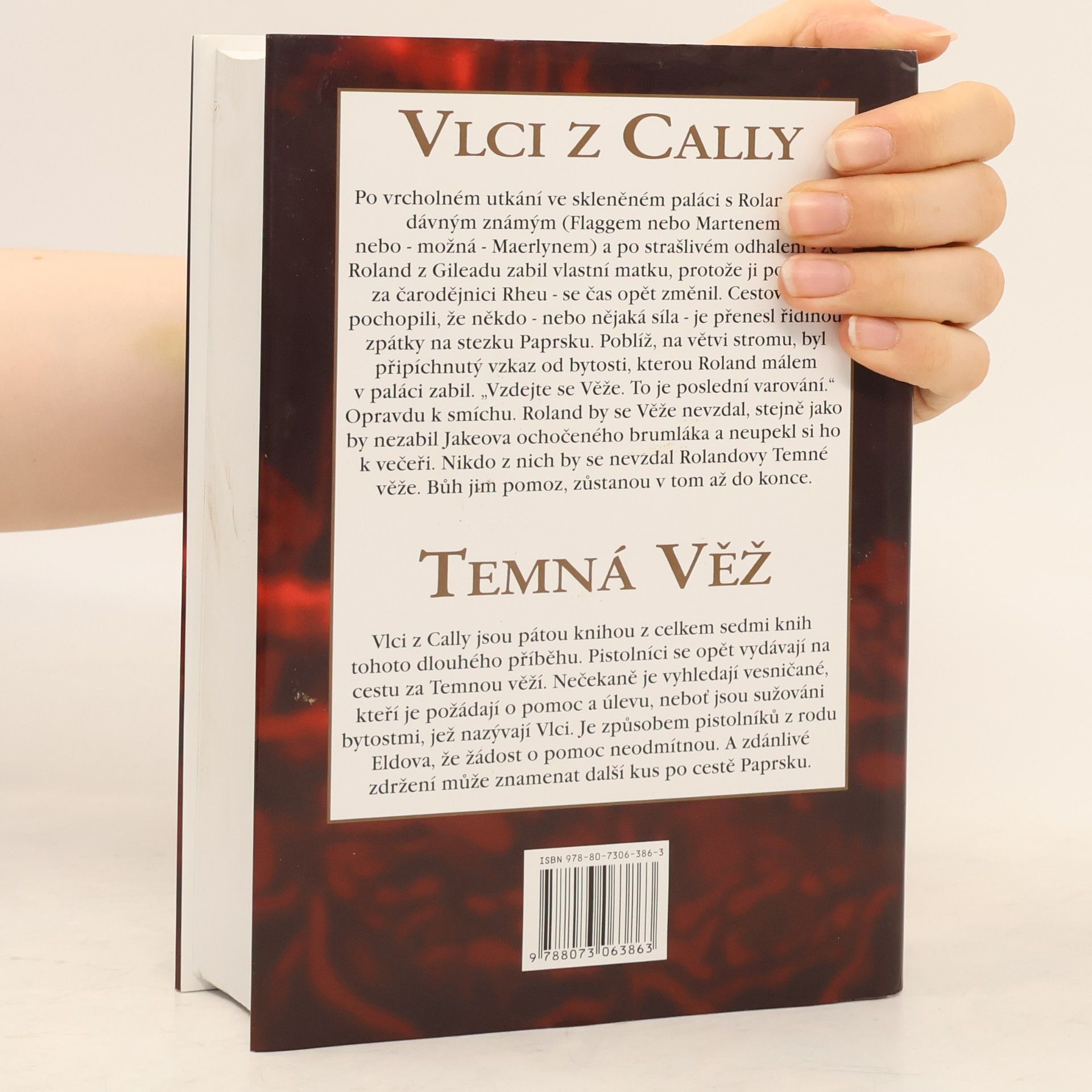 Stephen King Temná věž: Vlci z Cally