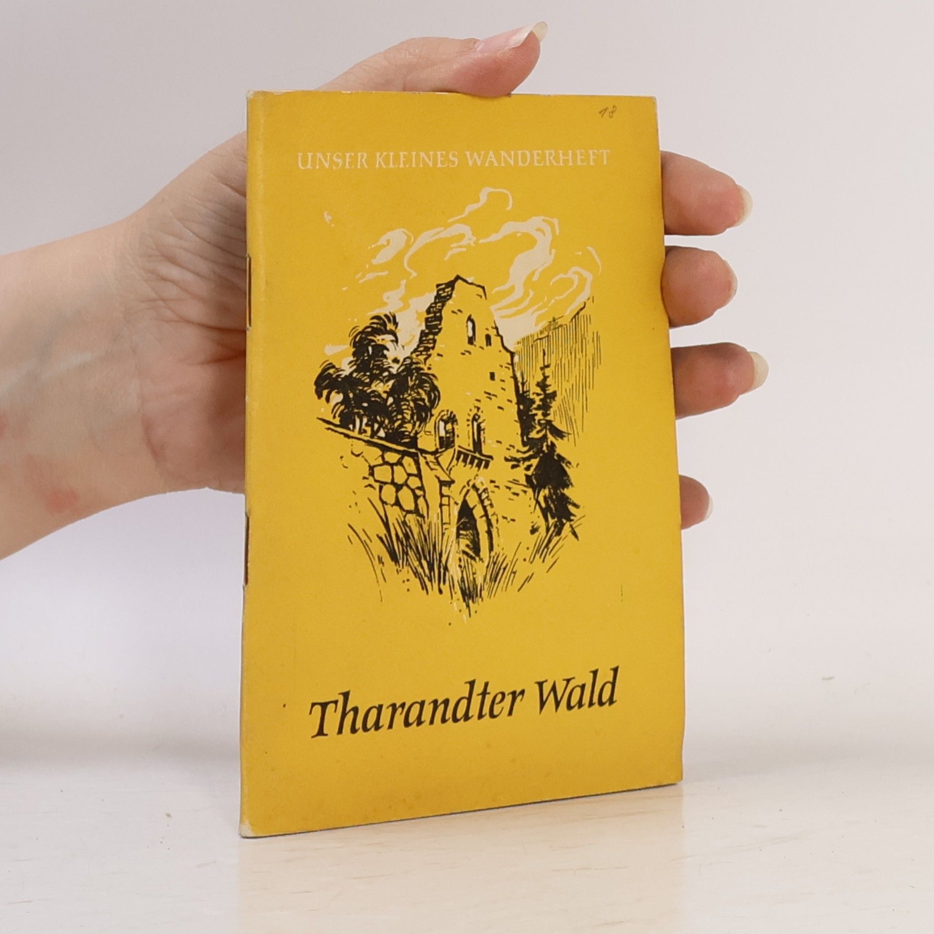 Tharandter Wald