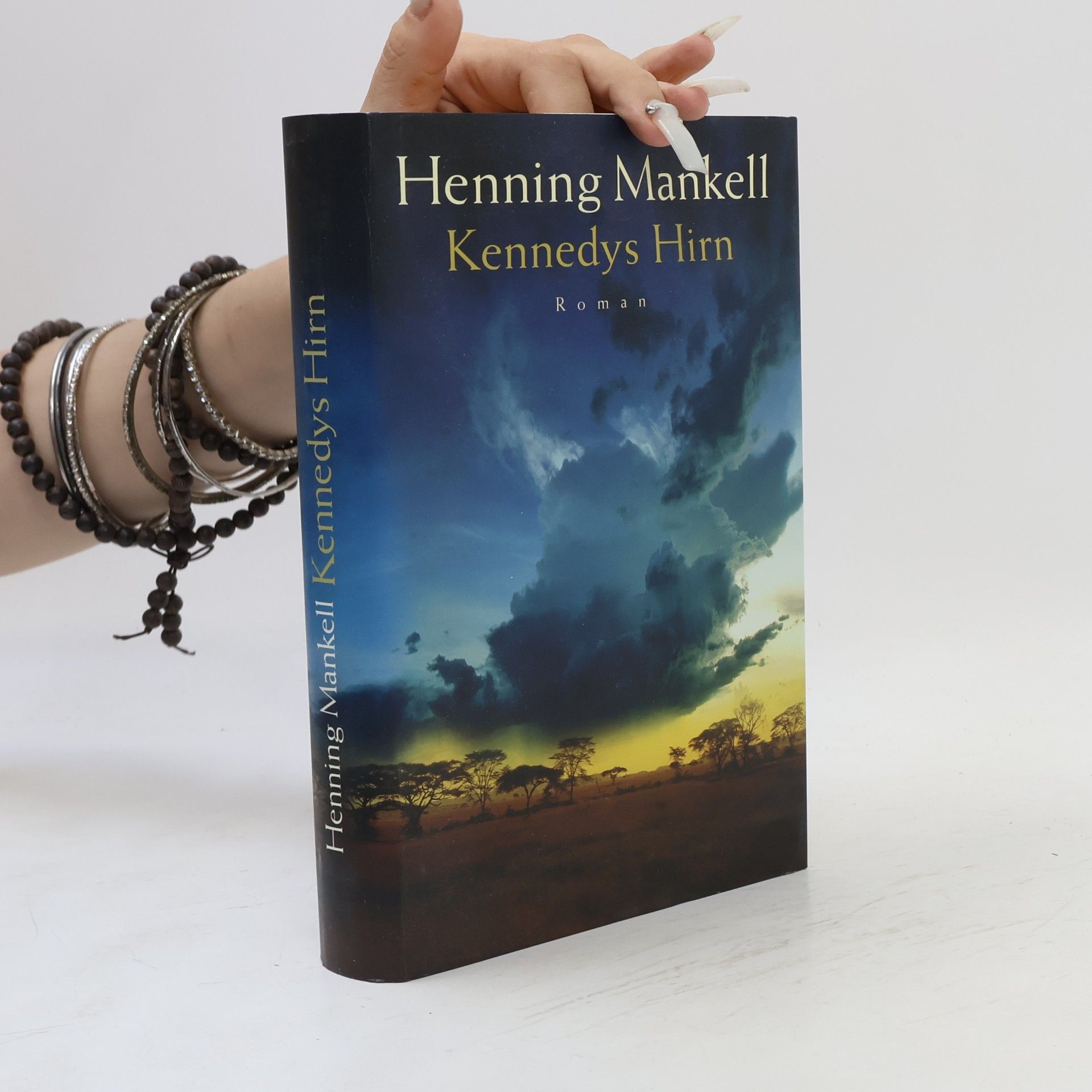 Henning Mankell Kennedys Hirn