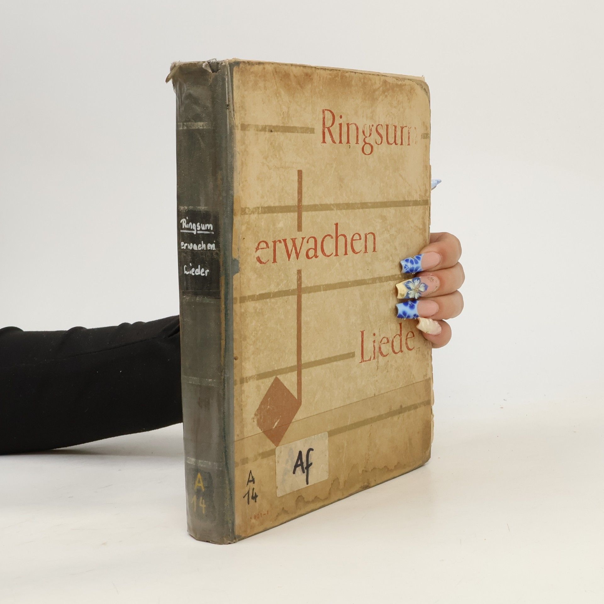 kolektiv Ringsum erwachen liede