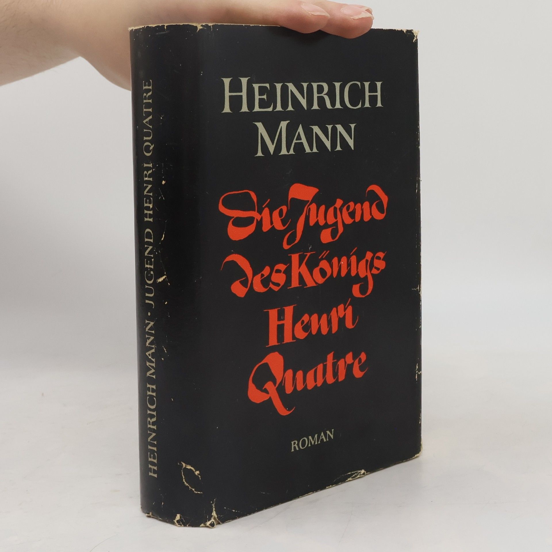 Heinrich Mann Die Jugend des Königs Henri Quatre