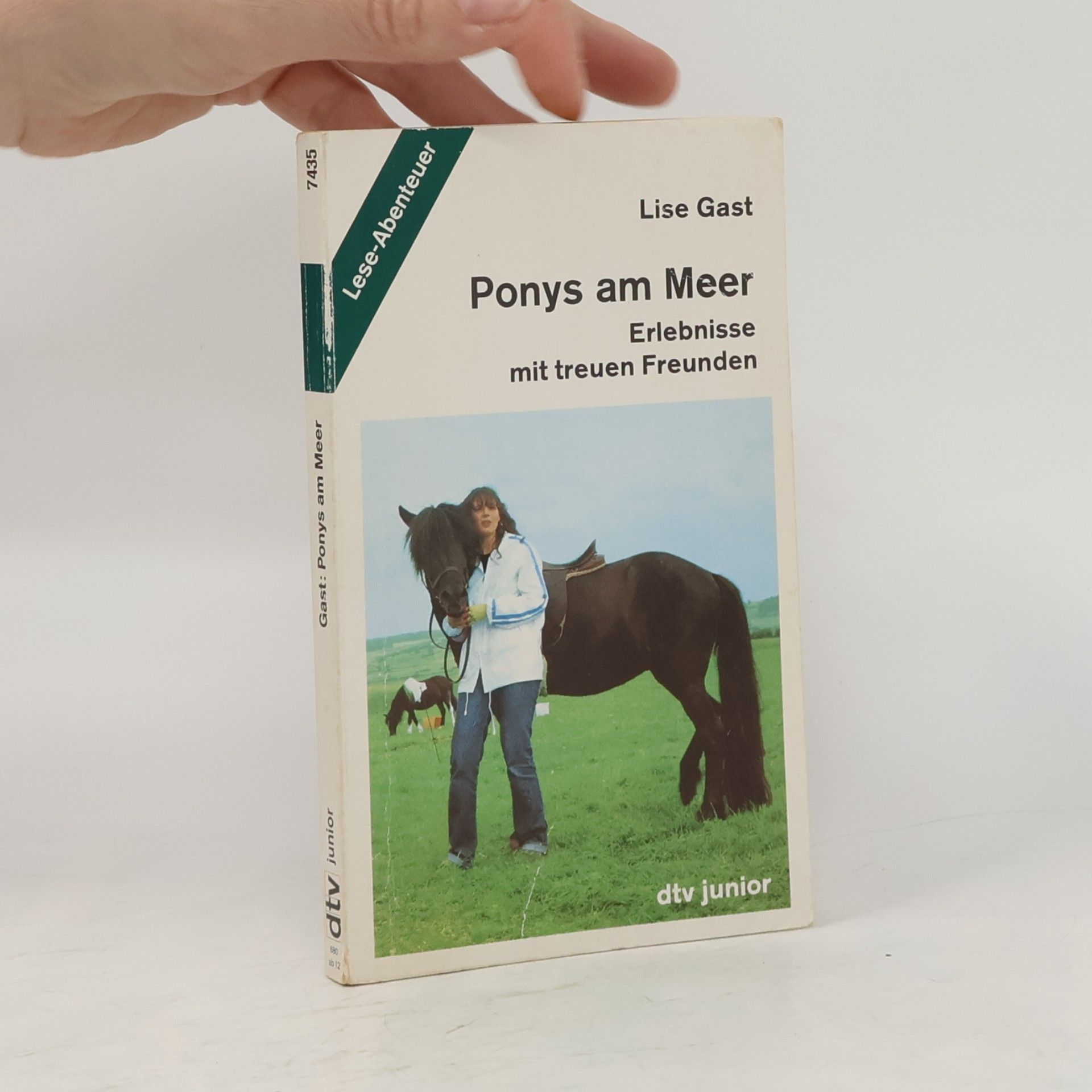 Ponys am Meer