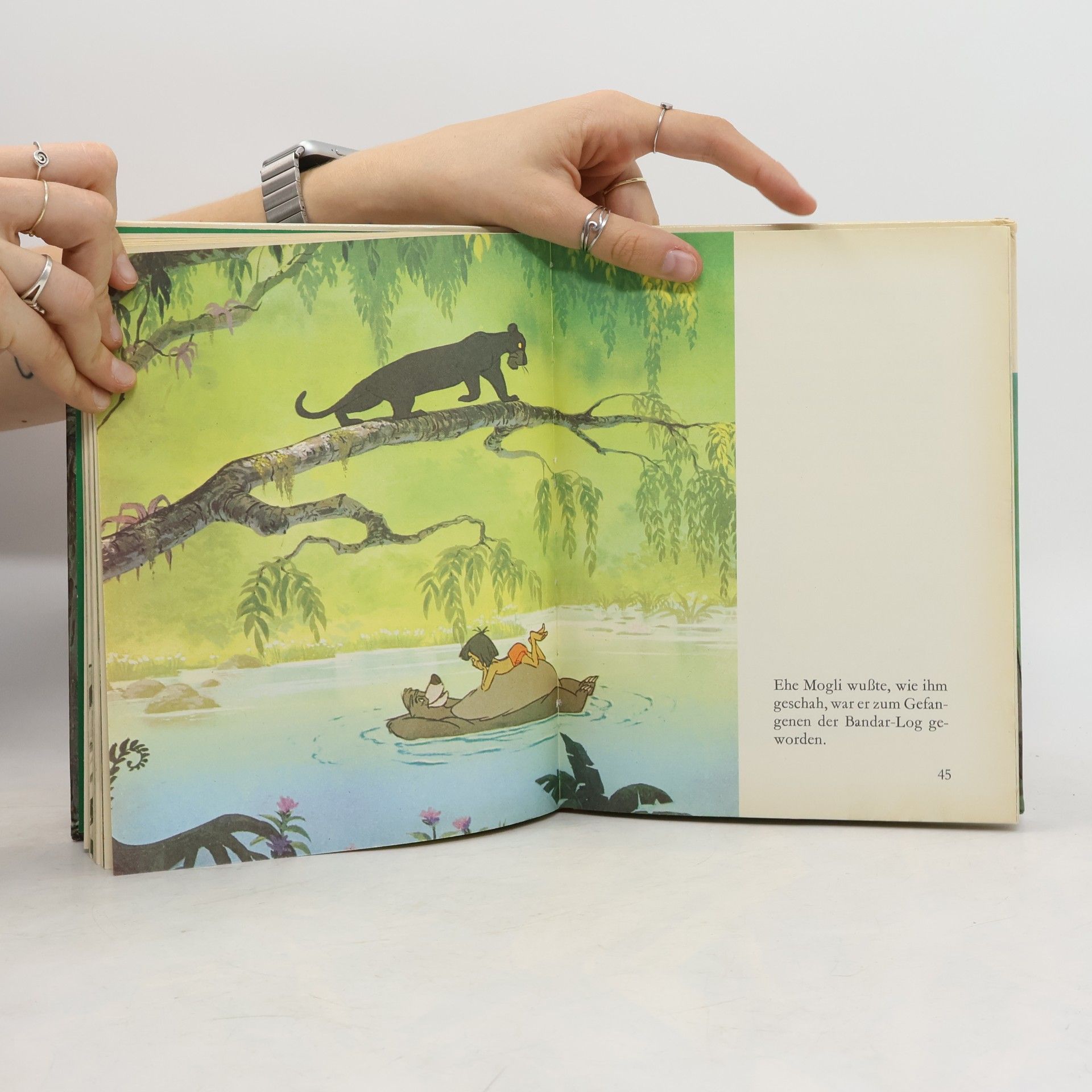Rudyard Kipling Das Dschungelbuch