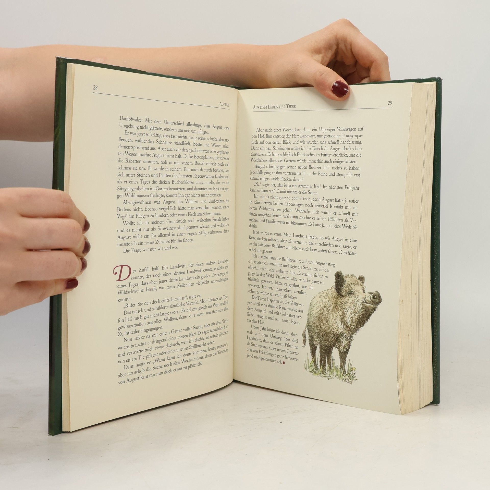 Autorenkollektiv Aus dem Leben der Tiere