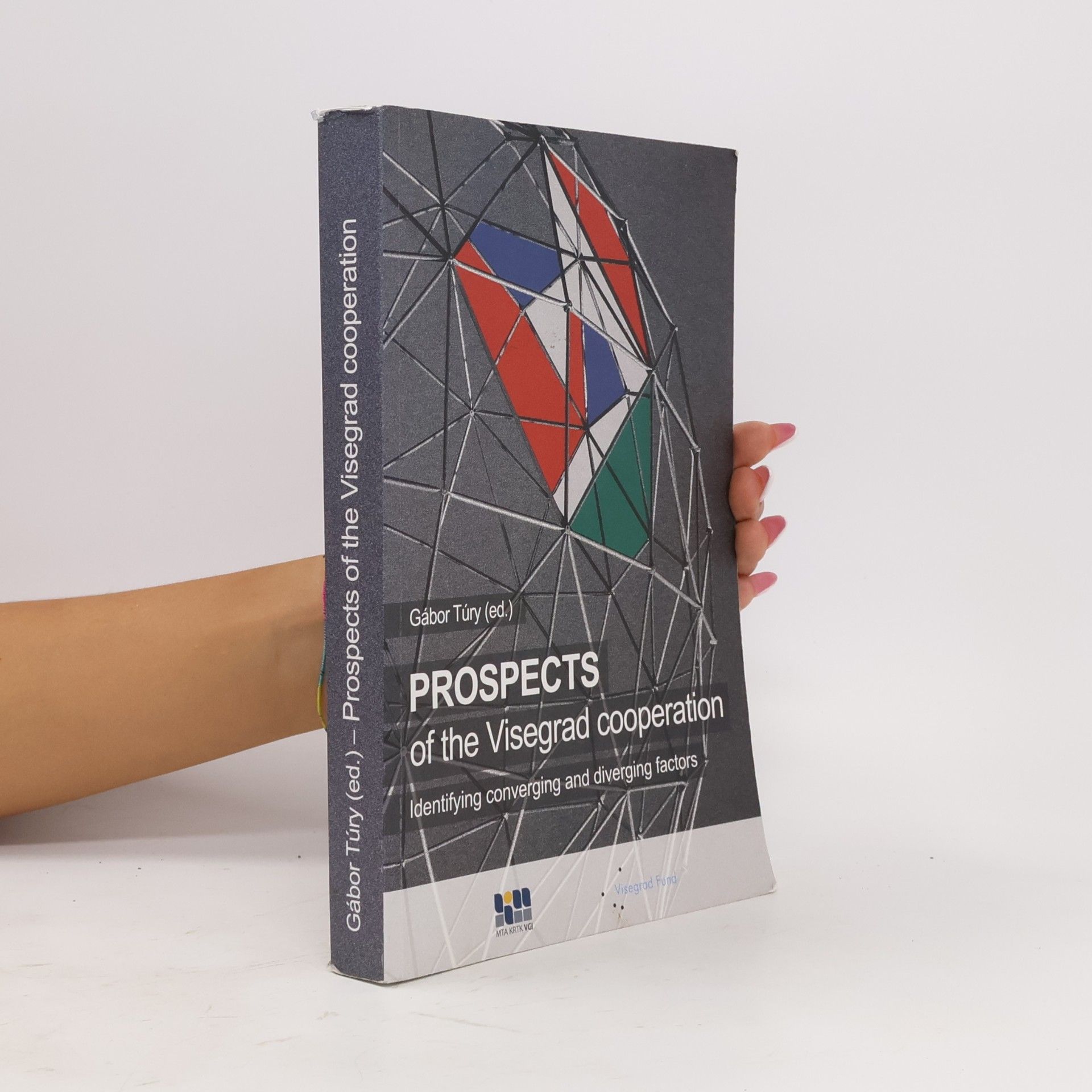 Gábor Túry Prospects of the Visegrad Cooperation. Identifying Converging and Diverging Factors