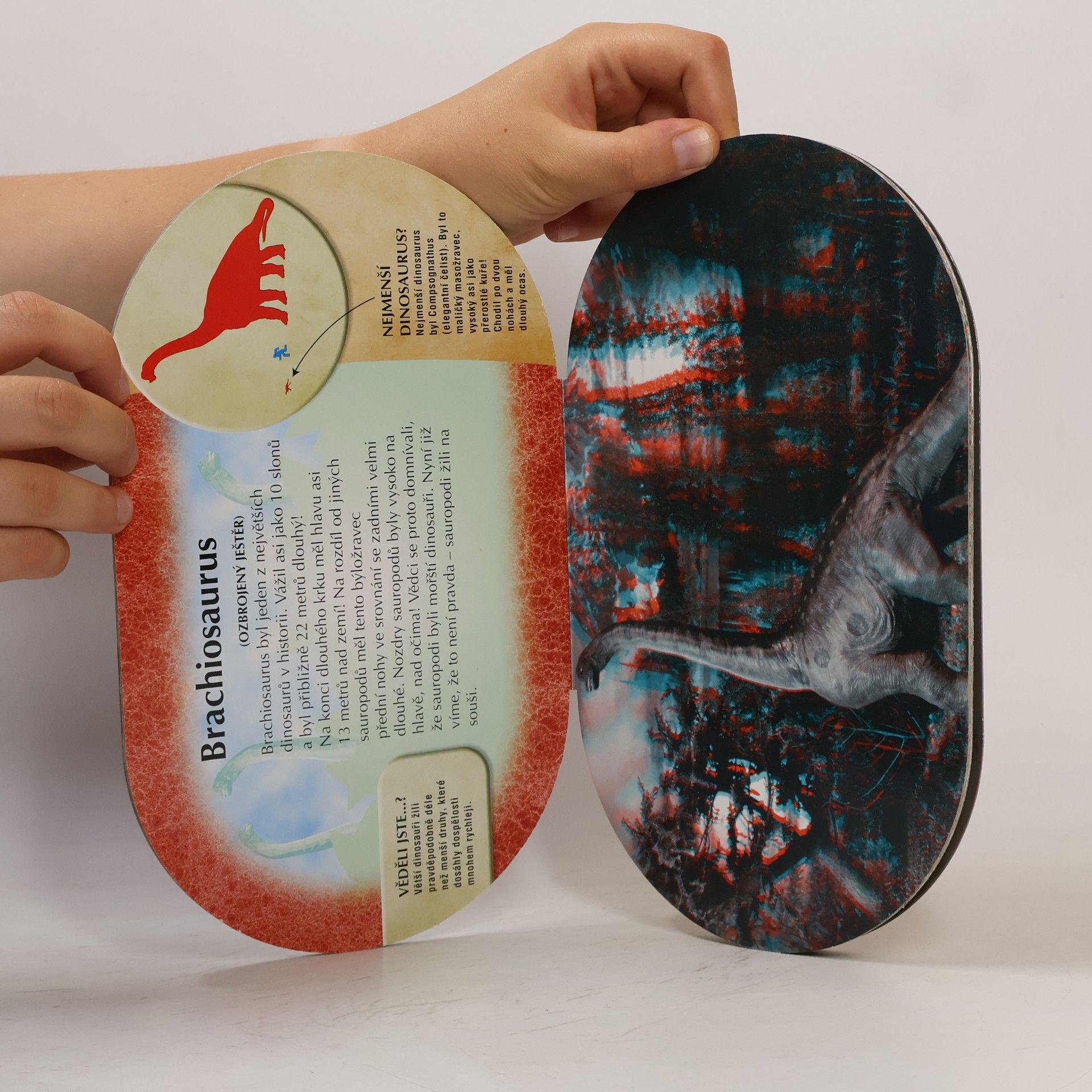 Autorenkollektiv Fakta o dinosaurech 3D
