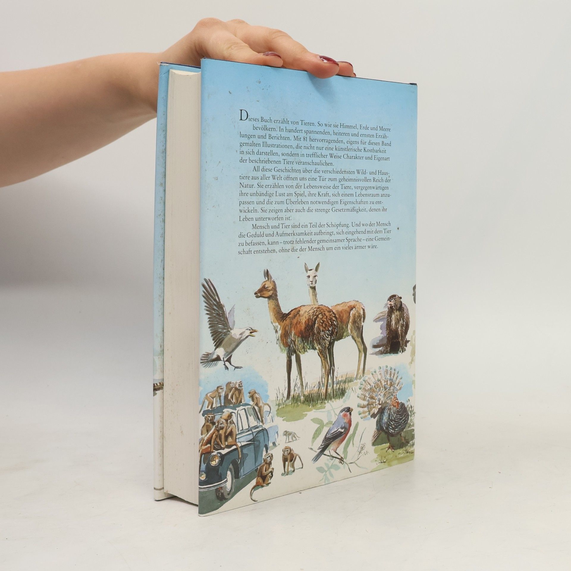 Autorenkollektiv Aus dem Leben der Tiere