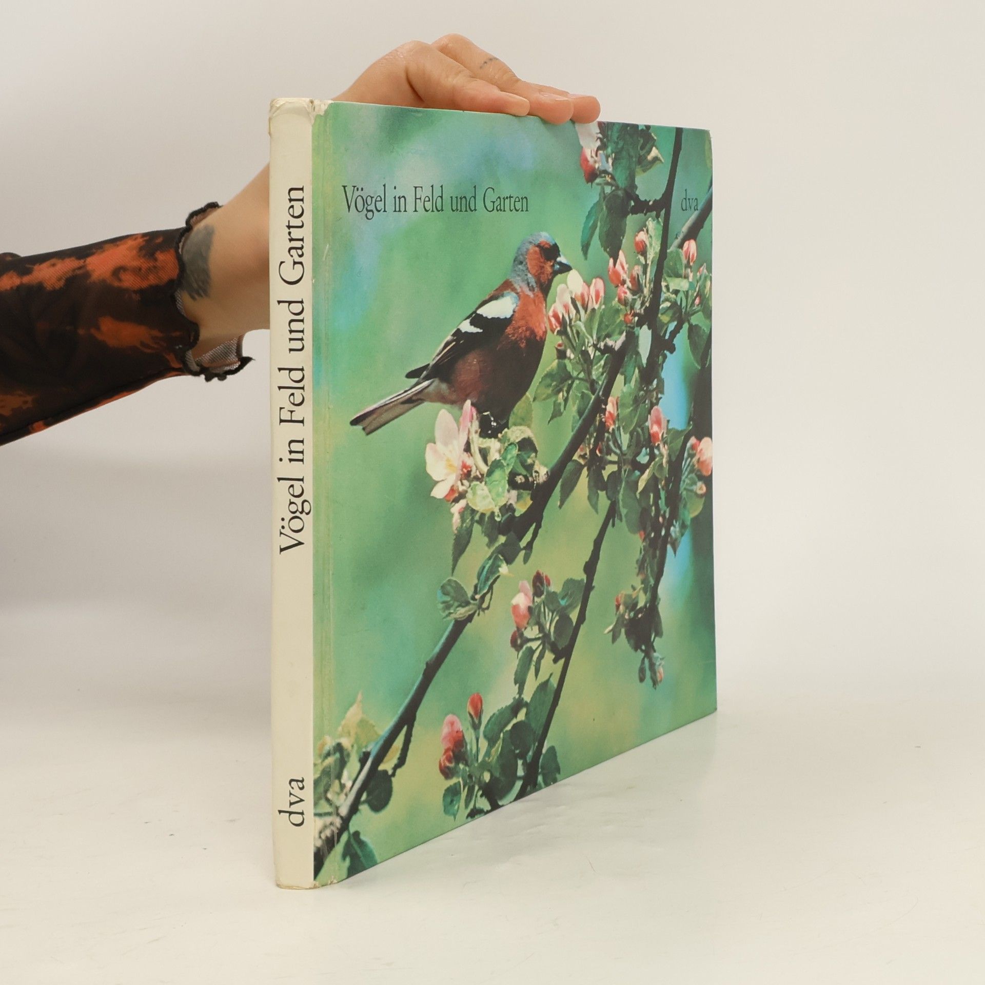 Klaus Paysan Vögel in Feld und Garten
