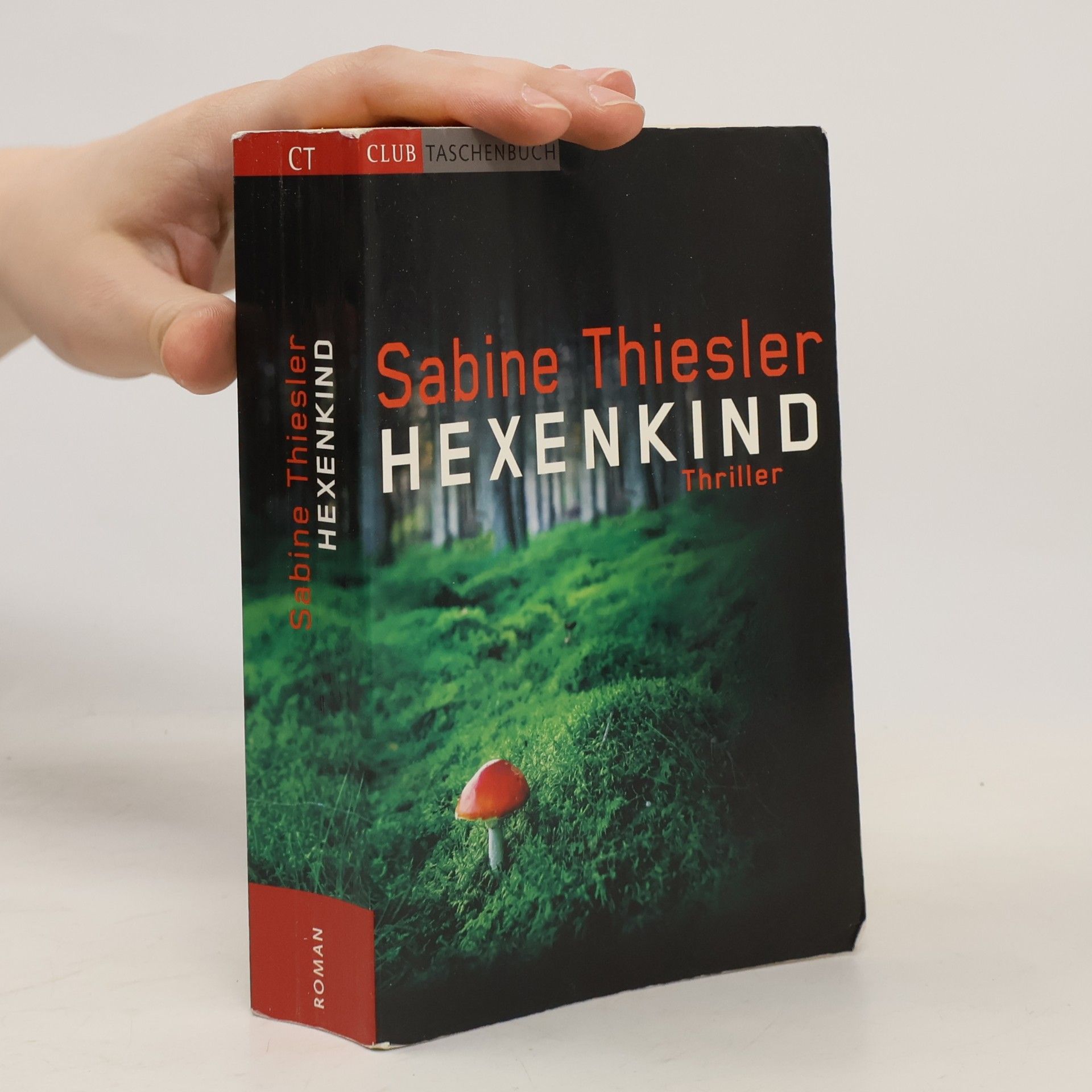 Sabine Thiesler Hexenkind