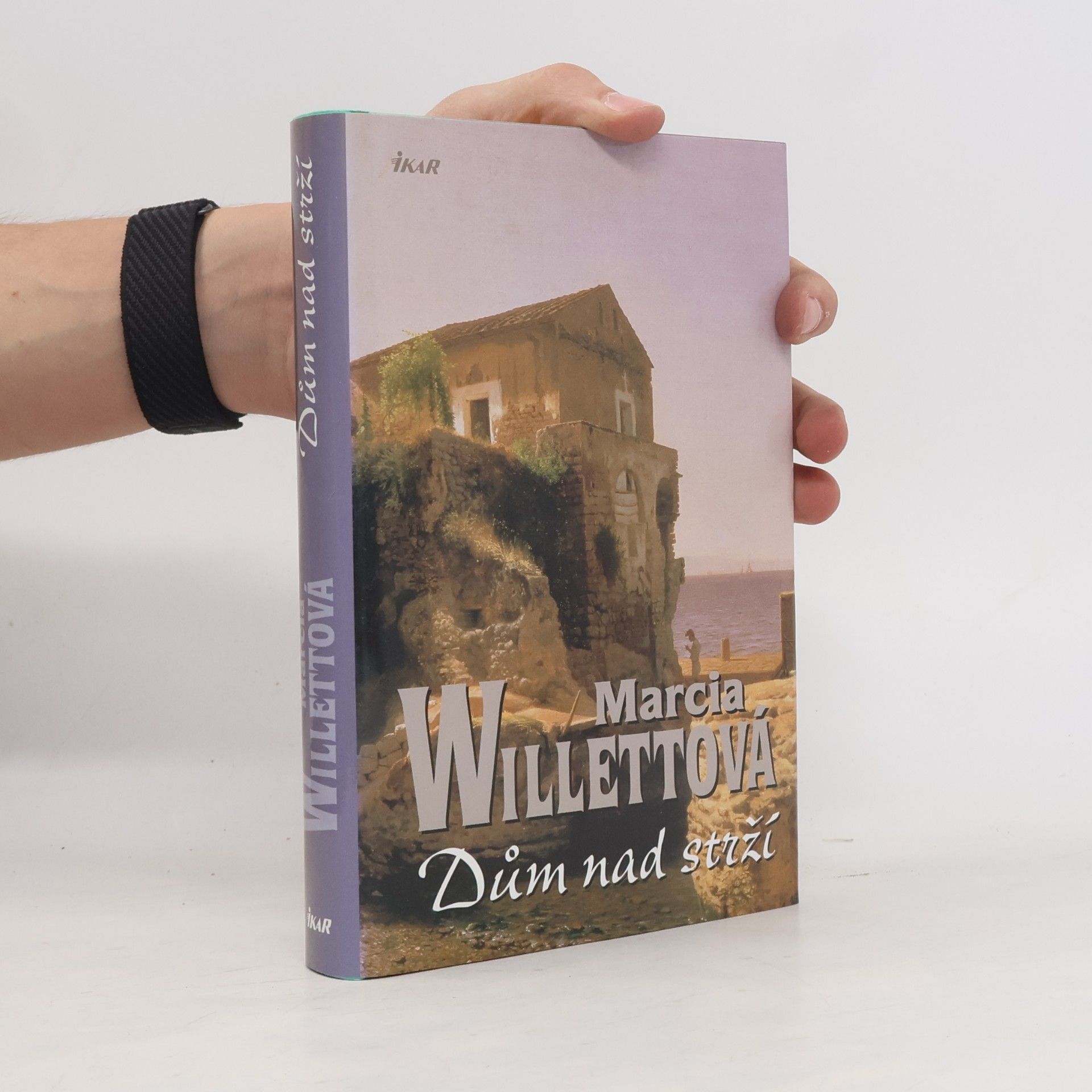 Marcia Willett Dům nad strží