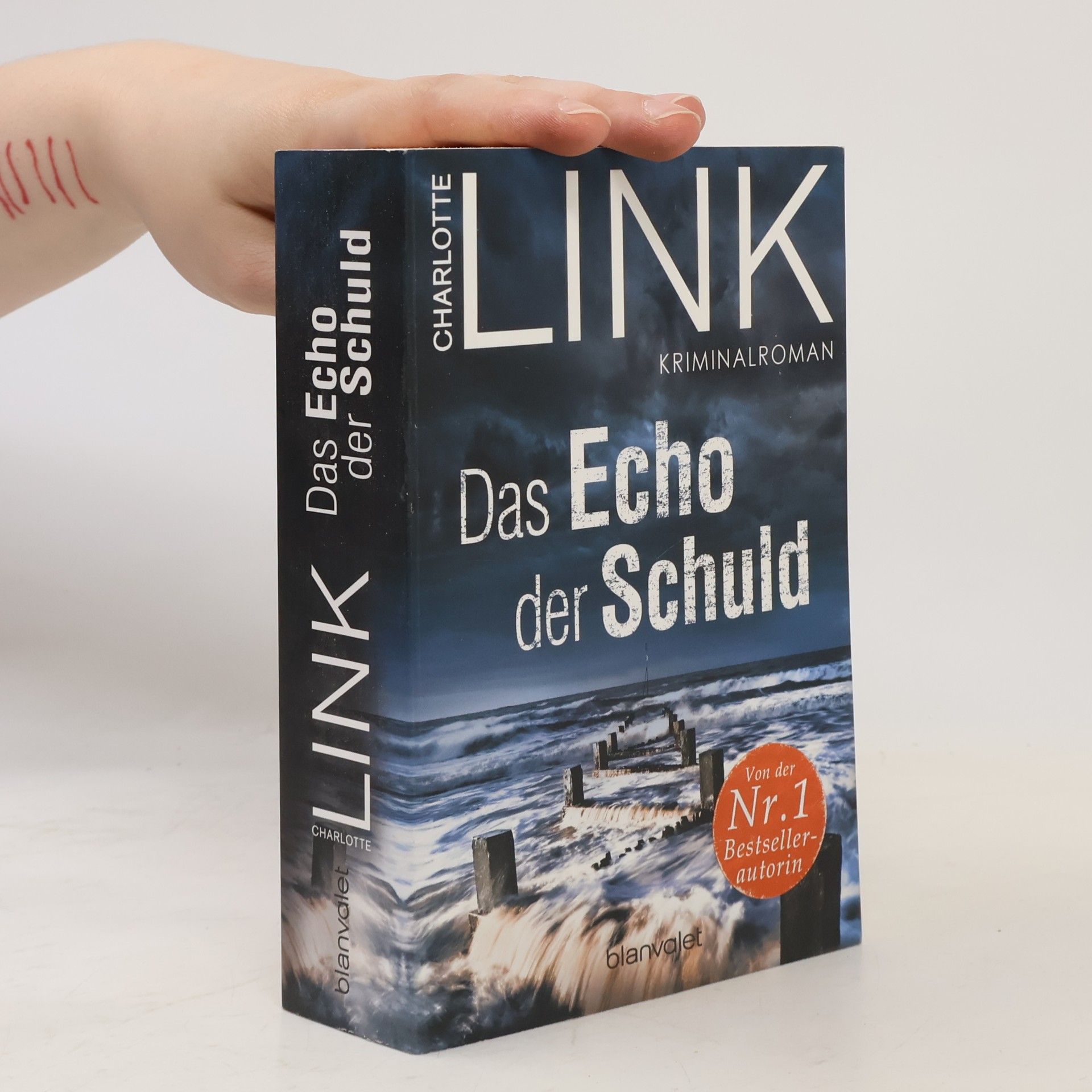 Charlotte Link Das Echo der Schuld