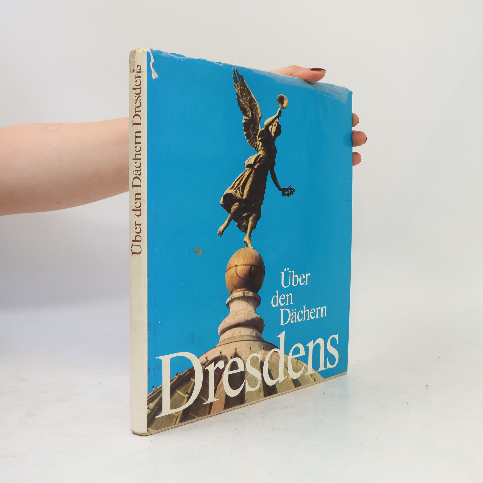 Gebhard Rehbein Über den Dächern Dresdens
