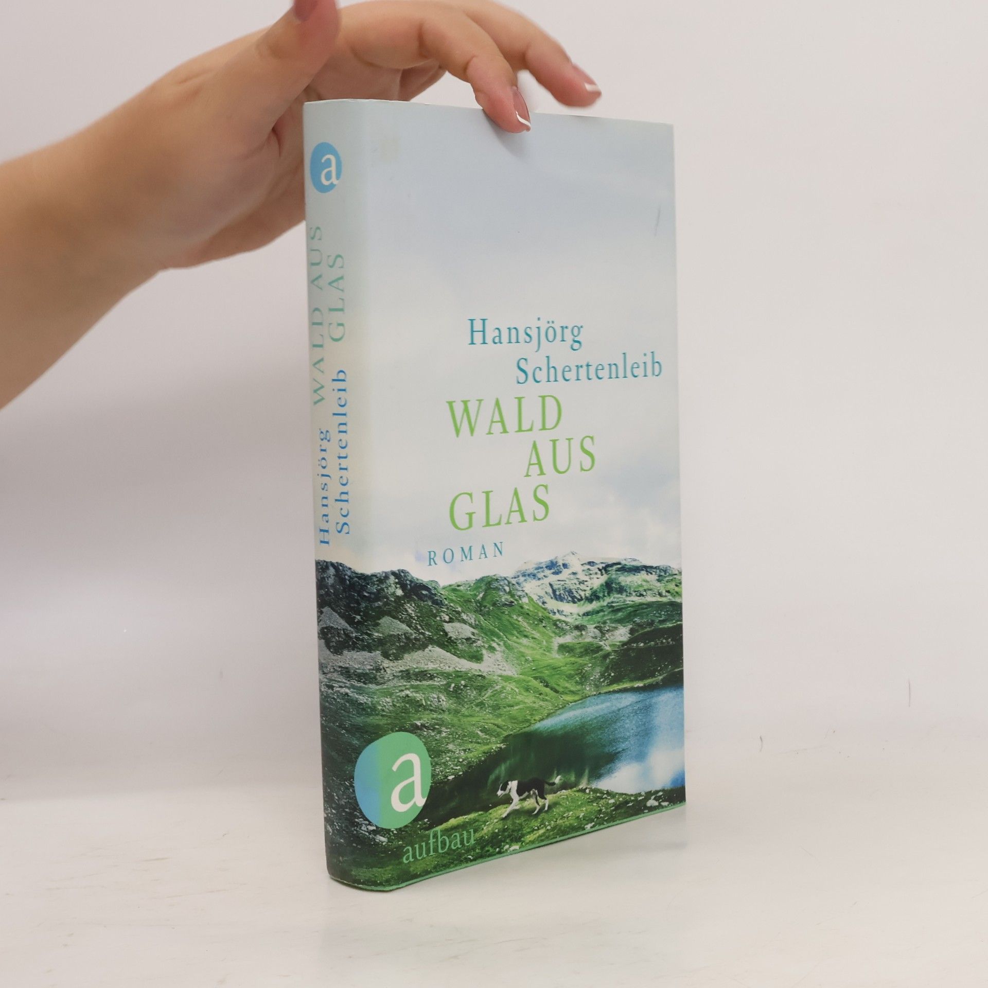 Hansjörg Schertenleib Wald aus Glas