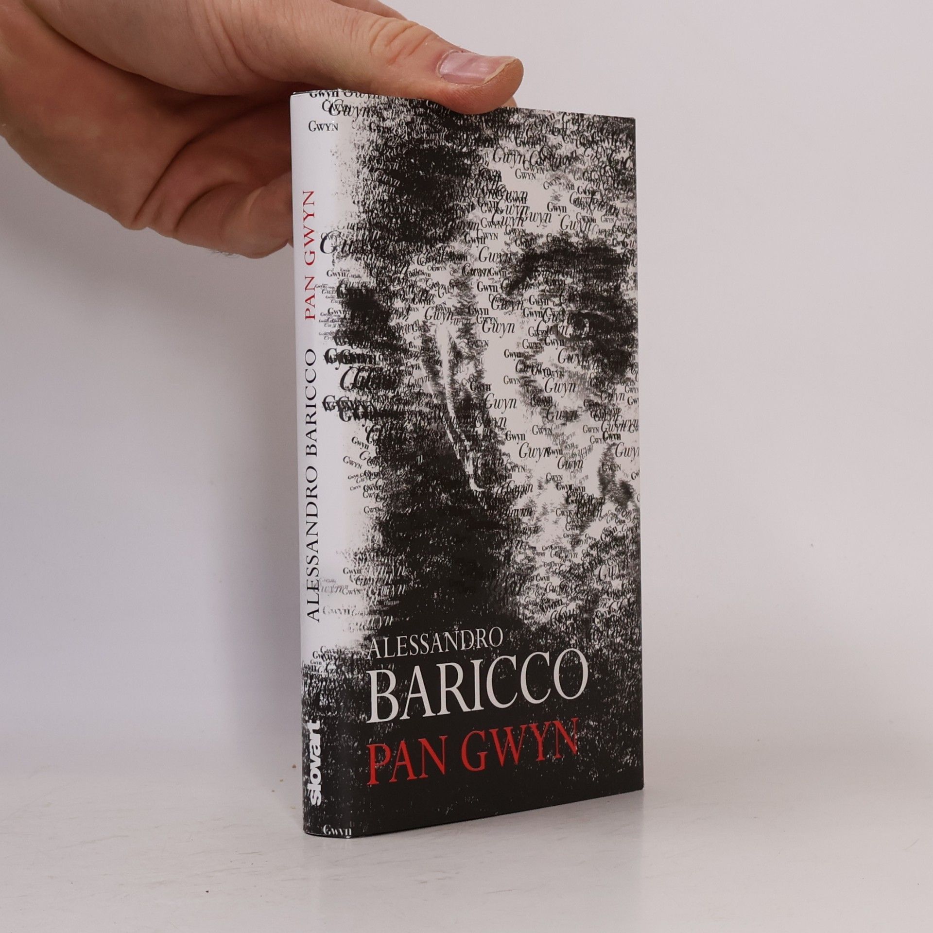 Alessandro Baricco Pan Gwyn