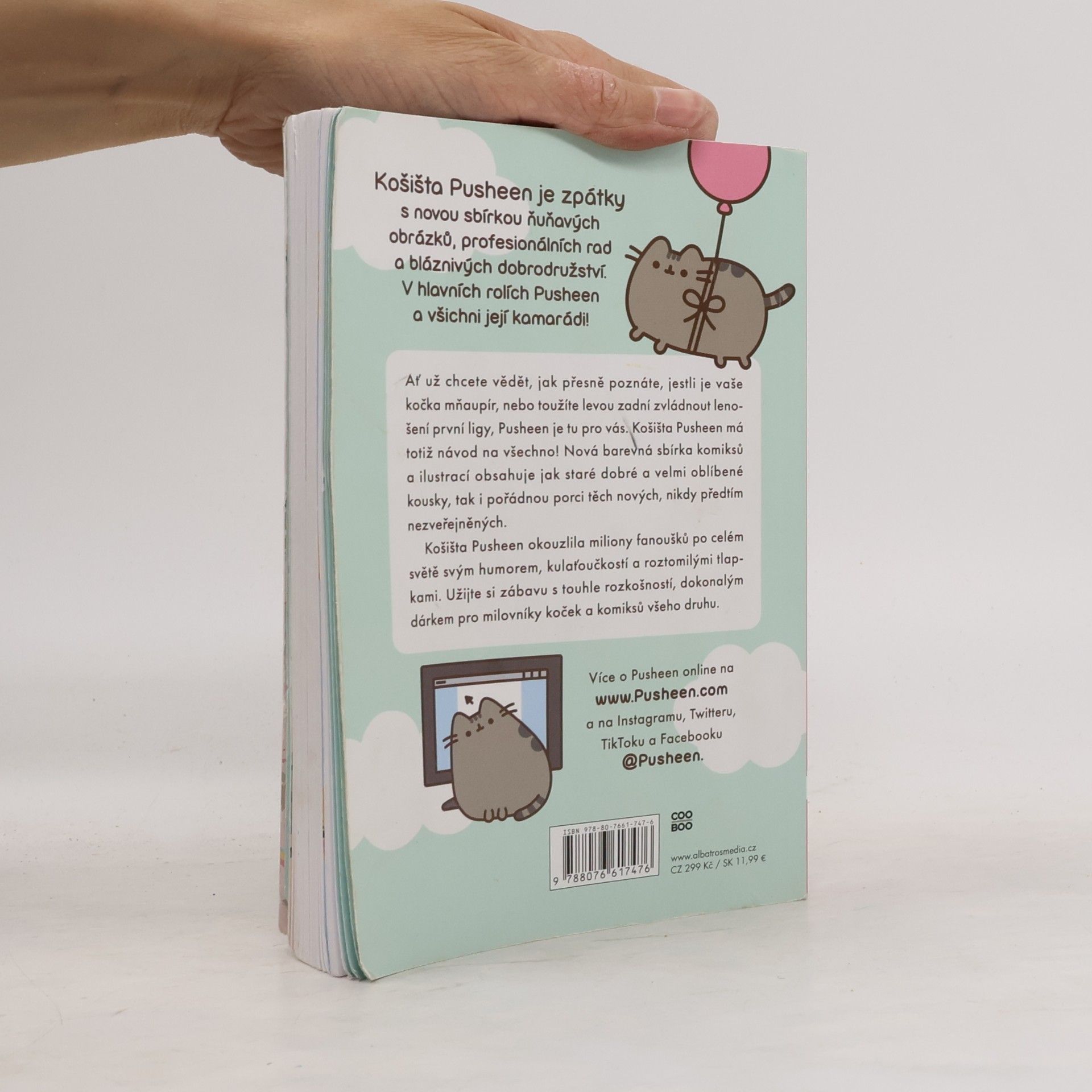Claire Belton Pusheen : košišatý návod na život