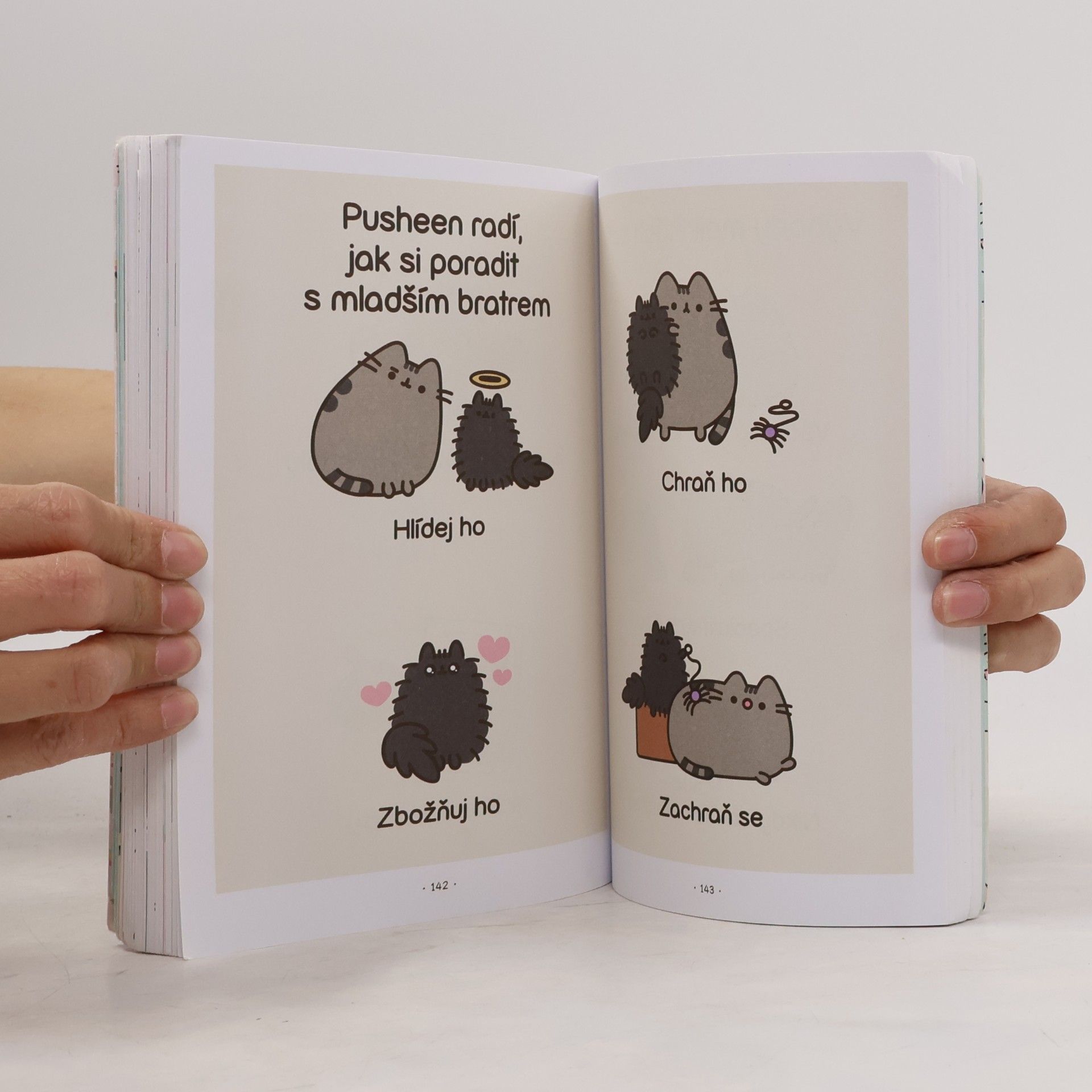 Claire Belton Pusheen : košišatý návod na život