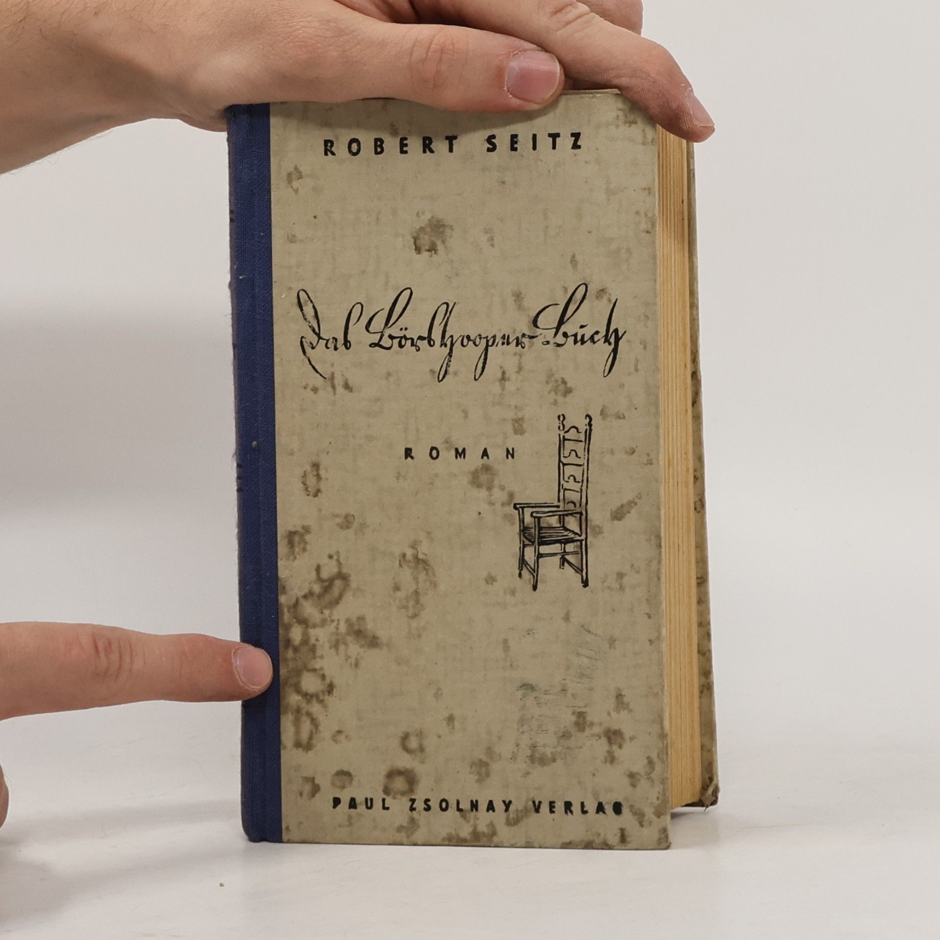 Robert Seitz Das Börshooper Buch