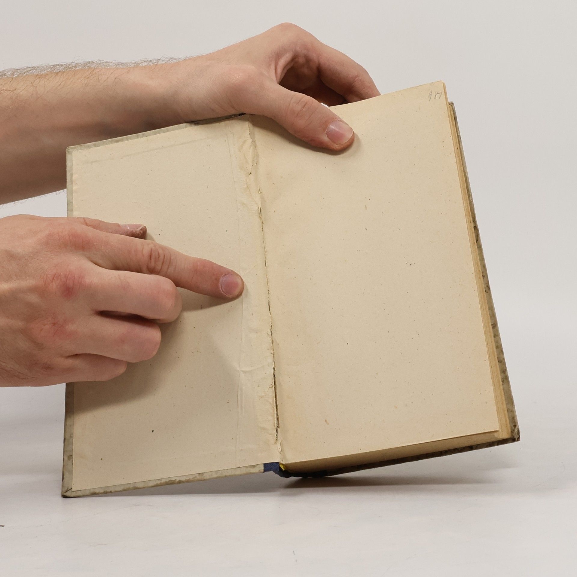 Robert Seitz Das Börshooper Buch