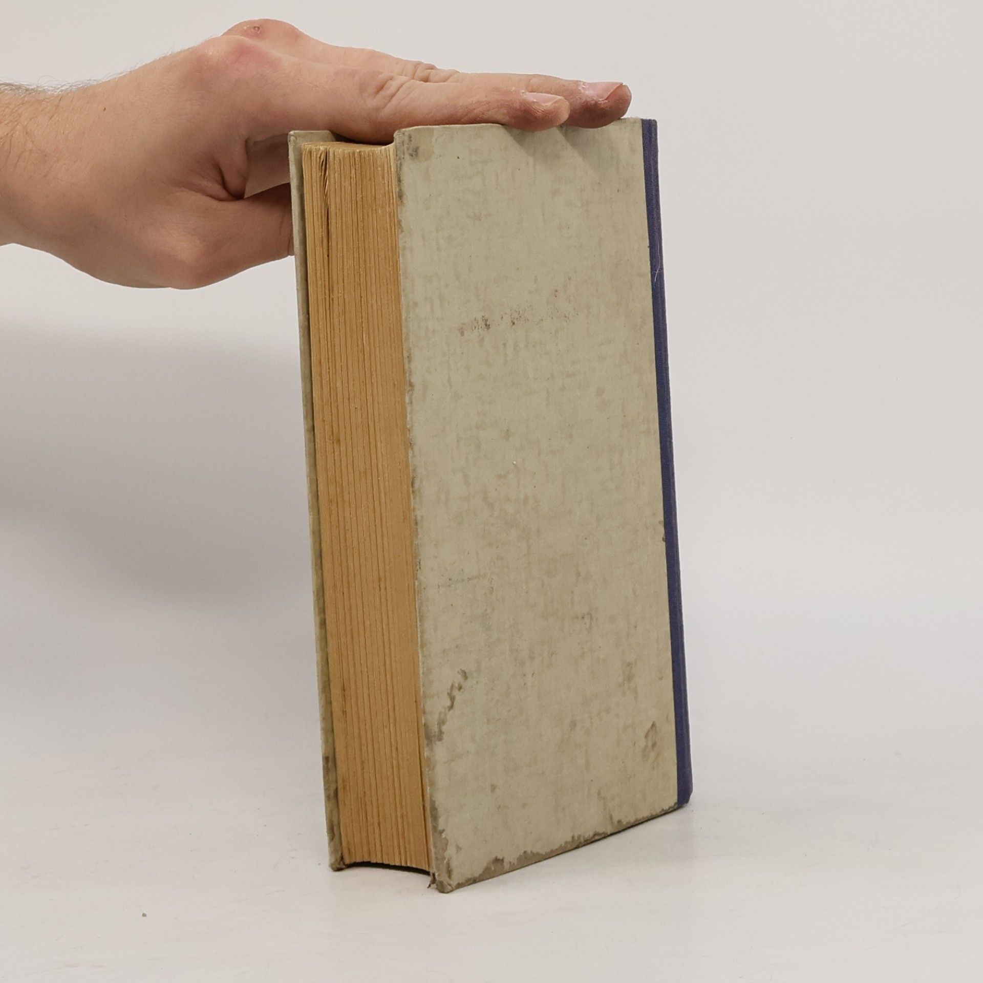 Robert Seitz Das Börshooper Buch