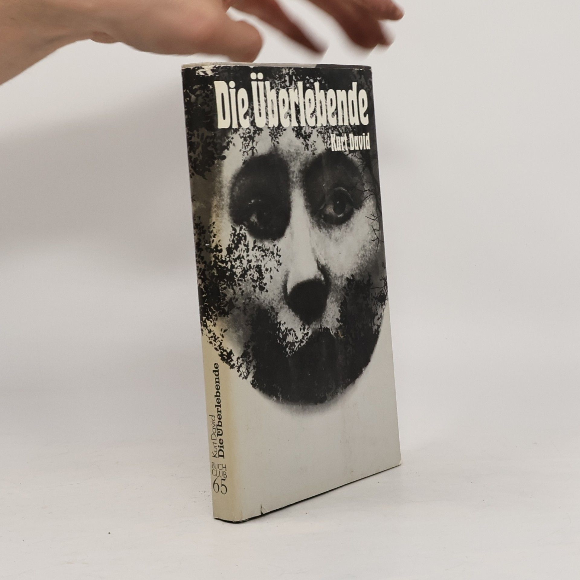 Kurt David Die Überlebende